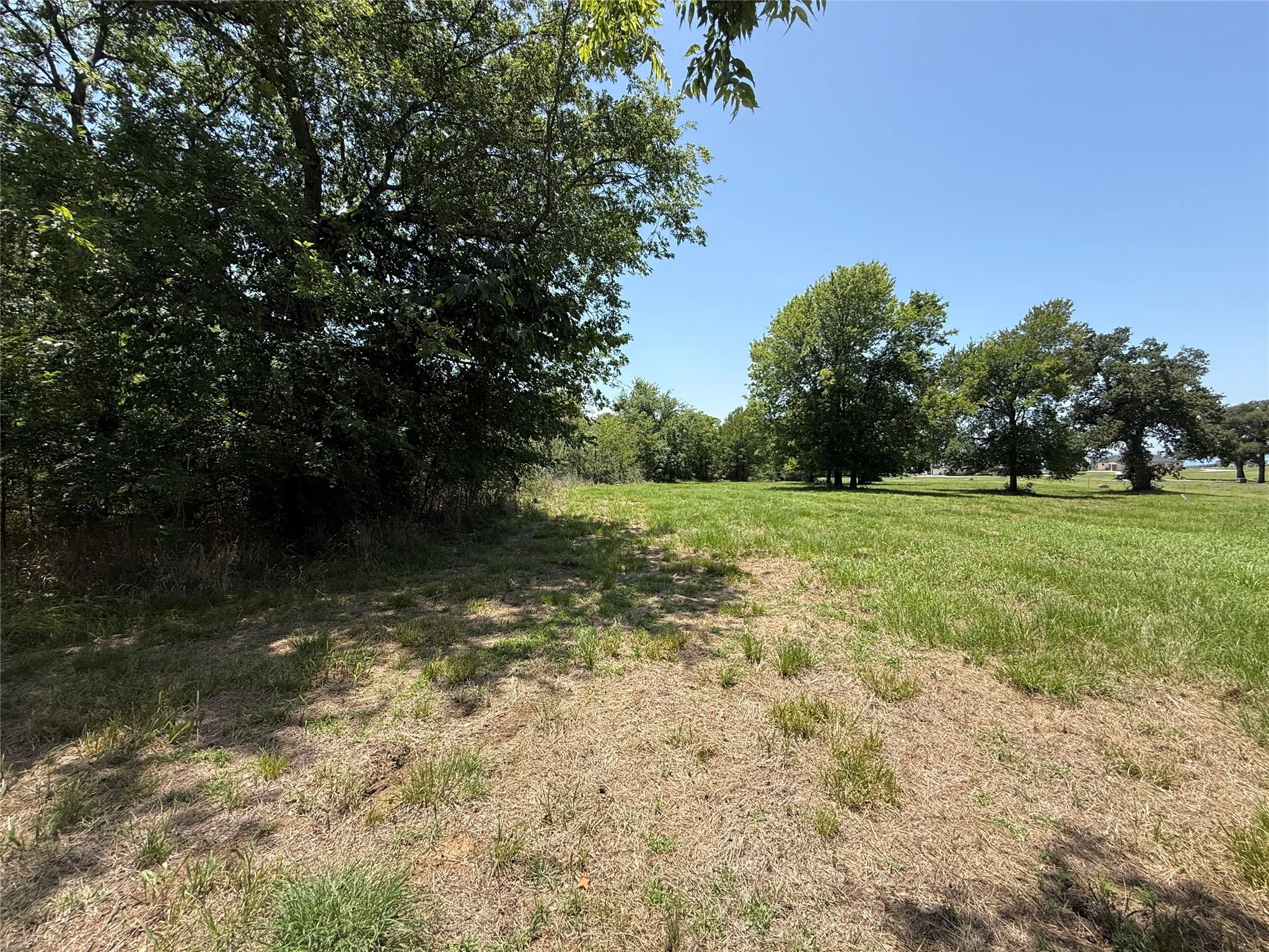 Level interior homesite featuring native grass and underground utility access in Streetman, TX.