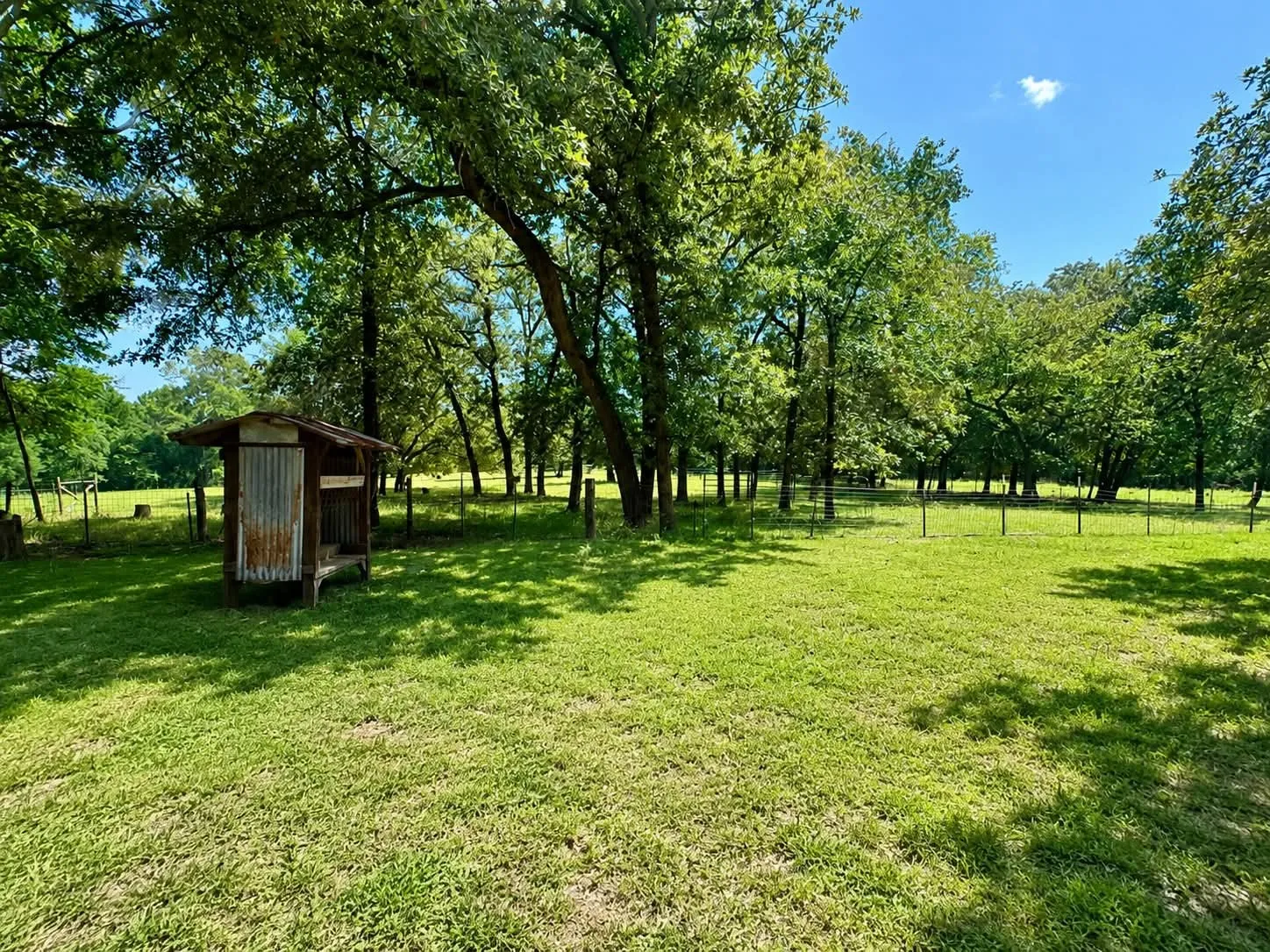 Expansive green lawn surrounded by mature trees, featuring a rustic shed structure with a metal roof and weathered wood siding, and perimeter fencing