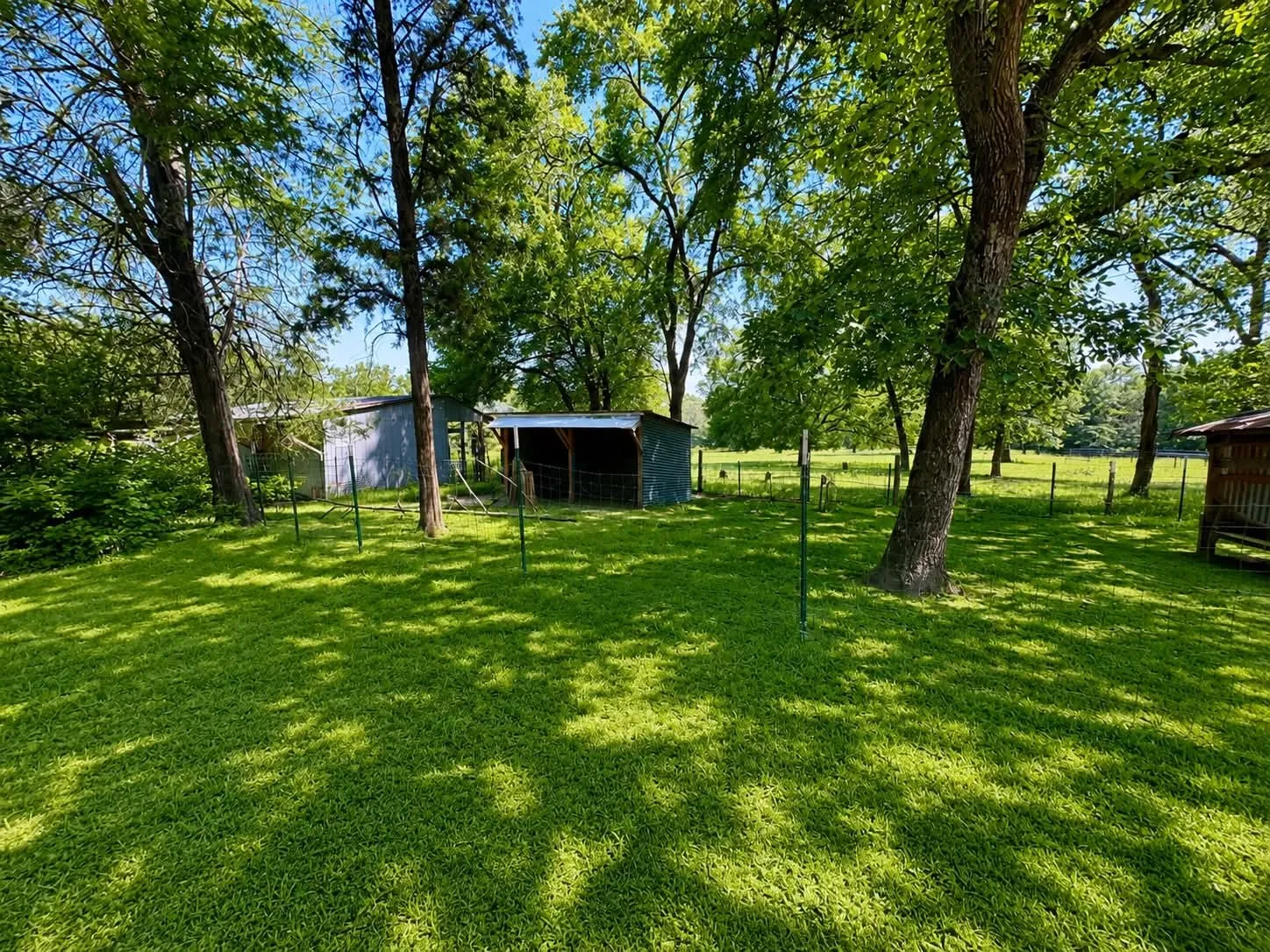 Expansive grassy area featuring mature trees, a metal shed, and a covered animal shelter