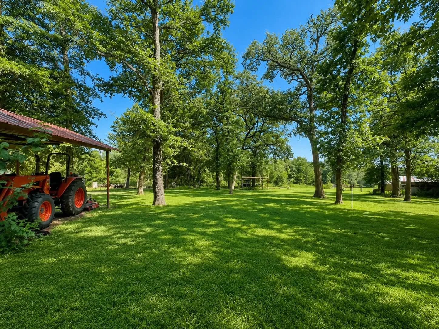 Expansive green lawn surrounded by mature trees, offering a private outdoor environment