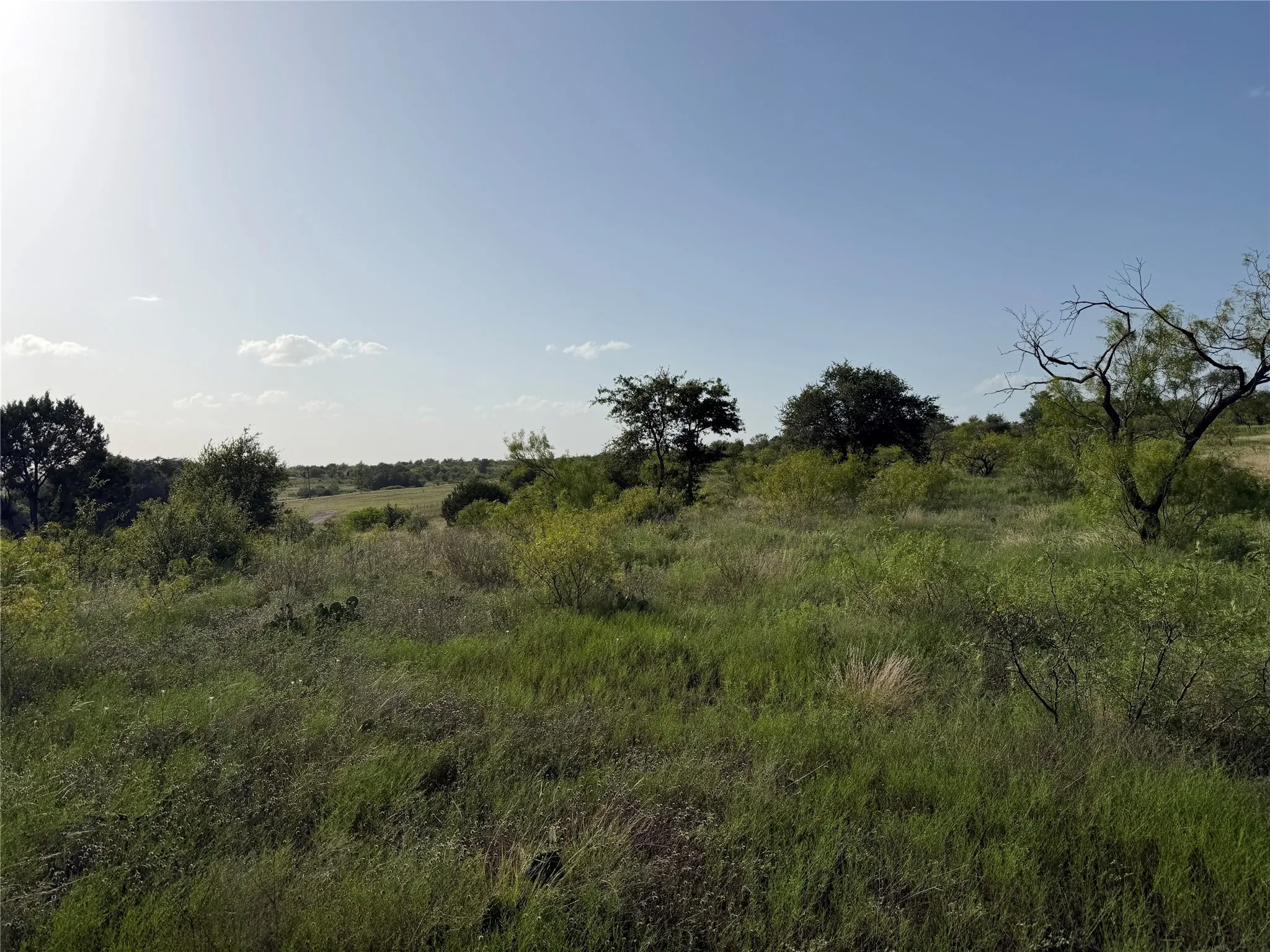 Unimproved Land For Sale in Comanche County , TBD Comanche Hills Dr, Comanche, Texas 76442, 0, 0, Garage spaces, 0 Sqft, built in 0, Price $115,115, mls#21336385, Real Estate Agent in Comanche, Homes For Sale in Comanche county, Homes For Sale in Comanche, Realtor in Comanche Texas, Real Estate Brokerage Independent Realty Texas, Luminita Cordes Realtor