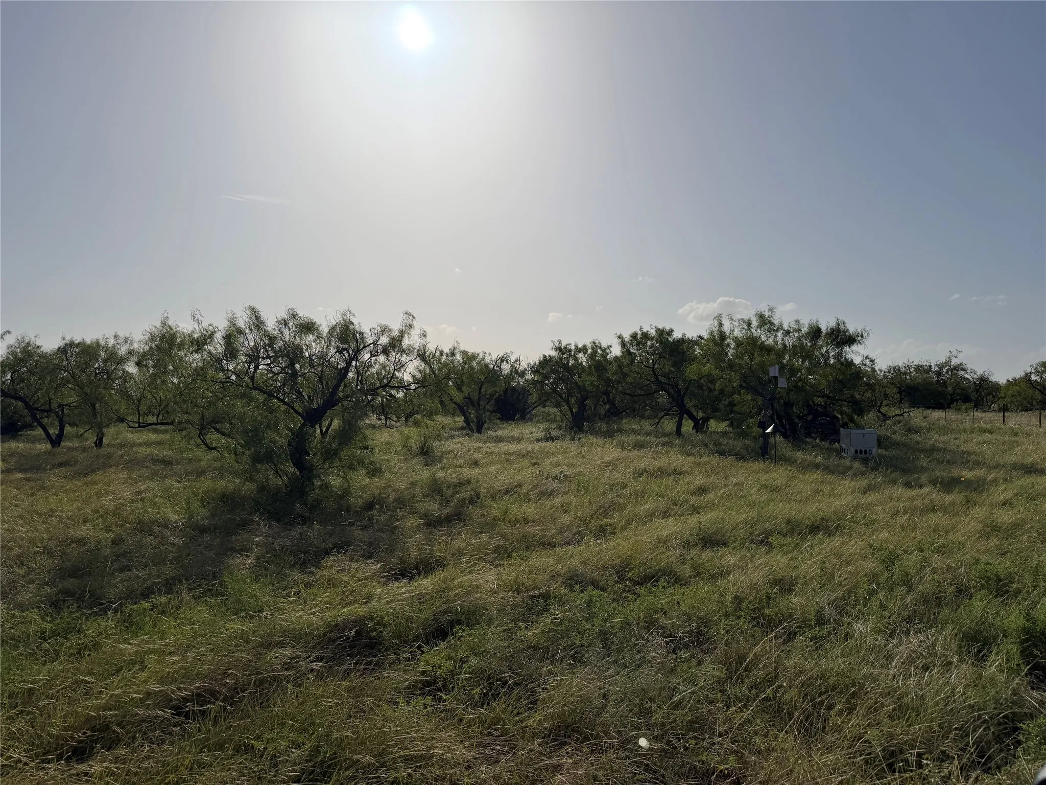 Unimproved Land For Sale in Comanche County , TBD Comanche Hills Dr, Comanche, Texas 76442, 0, 0, Garage spaces, 0 Sqft, built in 0, Price $115,115, mls#21336385, Real Estate Agent in Comanche, Homes For Sale in Comanche county, Homes For Sale in Comanche, Realtor in Comanche Texas, Real Estate Brokerage Independent Realty Texas, Luminita Cordes Realtor