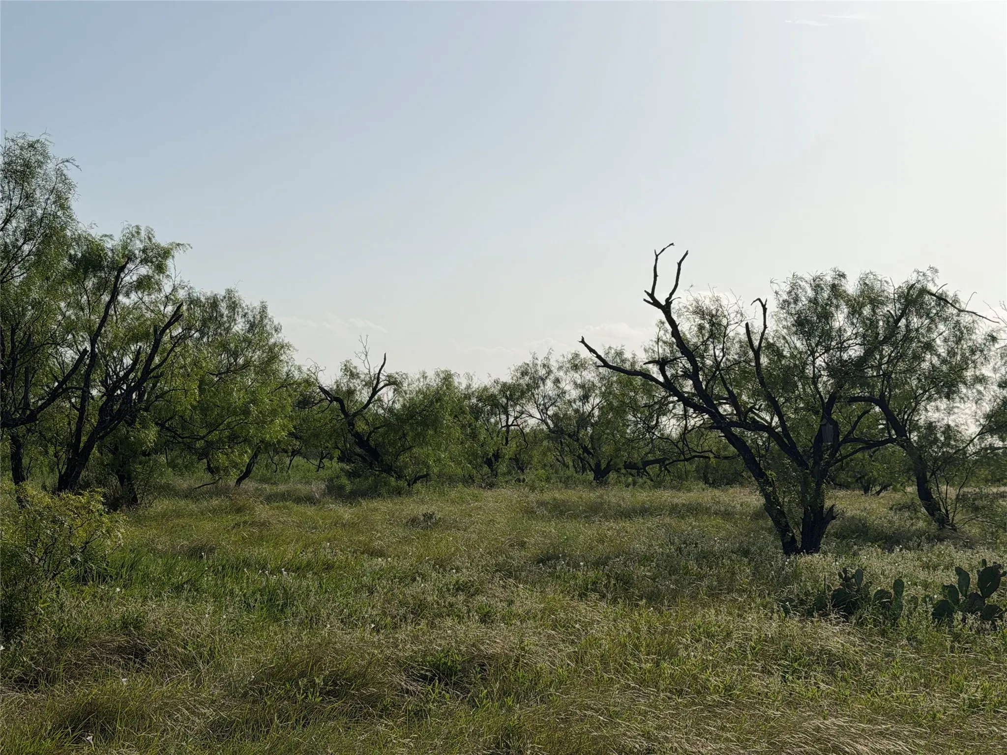 Unimproved Land For Sale in Comanche County , TBD Comanche Hills Dr, Comanche, Texas 76442, 0, 0, Garage spaces, 0 Sqft, built in 0, Price $115,115, mls#21336385, Real Estate Agent in Comanche, Homes For Sale in Comanche county, Homes For Sale in Comanche, Realtor in Comanche Texas, Real Estate Brokerage Independent Realty Texas, Luminita Cordes Realtor