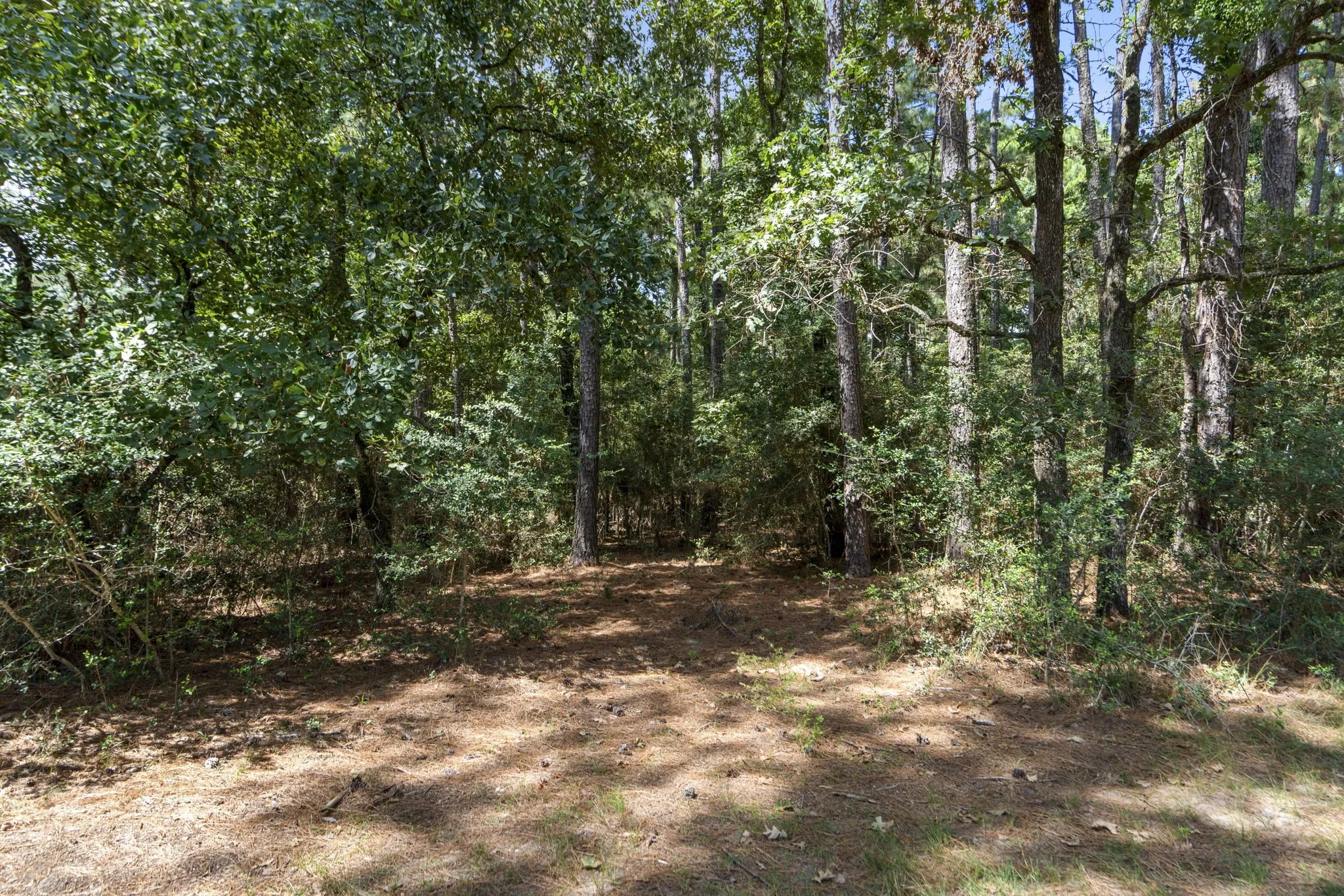 Improved Land For Sale in Montgomery County , 37432 Club house Lane, Montgomery, Texas 77355, 0, 0, Garage spaces, 0 Sqft, built in 0, Price $399,000, mls#21338338, Real Estate Agent in Montgomery, Homes For Sale in Montgomery county, Homes For Sale in Montgomery, Realtor in Montgomery Texas, Real Estate Brokerage Independent Realty Texas, Luminita Cordes Realtor