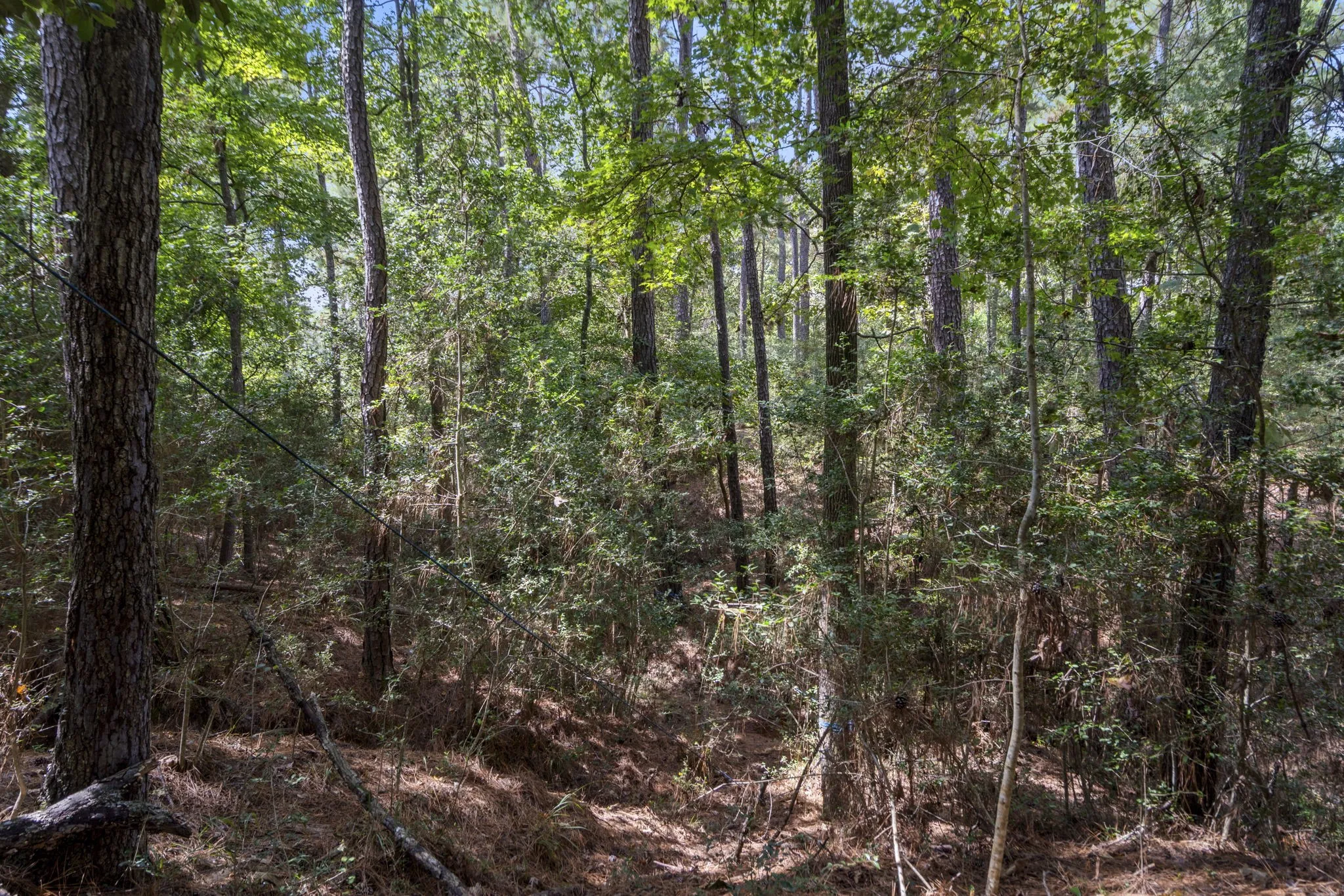 Improved Land For Sale in Montgomery County , 37432 Club house Lane, Montgomery, Texas 77355, 0, 0, Garage spaces, 0 Sqft, built in 0, Price $399,000, mls#21338338, Real Estate Agent in Montgomery, Homes For Sale in Montgomery county, Homes For Sale in Montgomery, Realtor in Montgomery Texas, Real Estate Brokerage Independent Realty Texas, Luminita Cordes Realtor