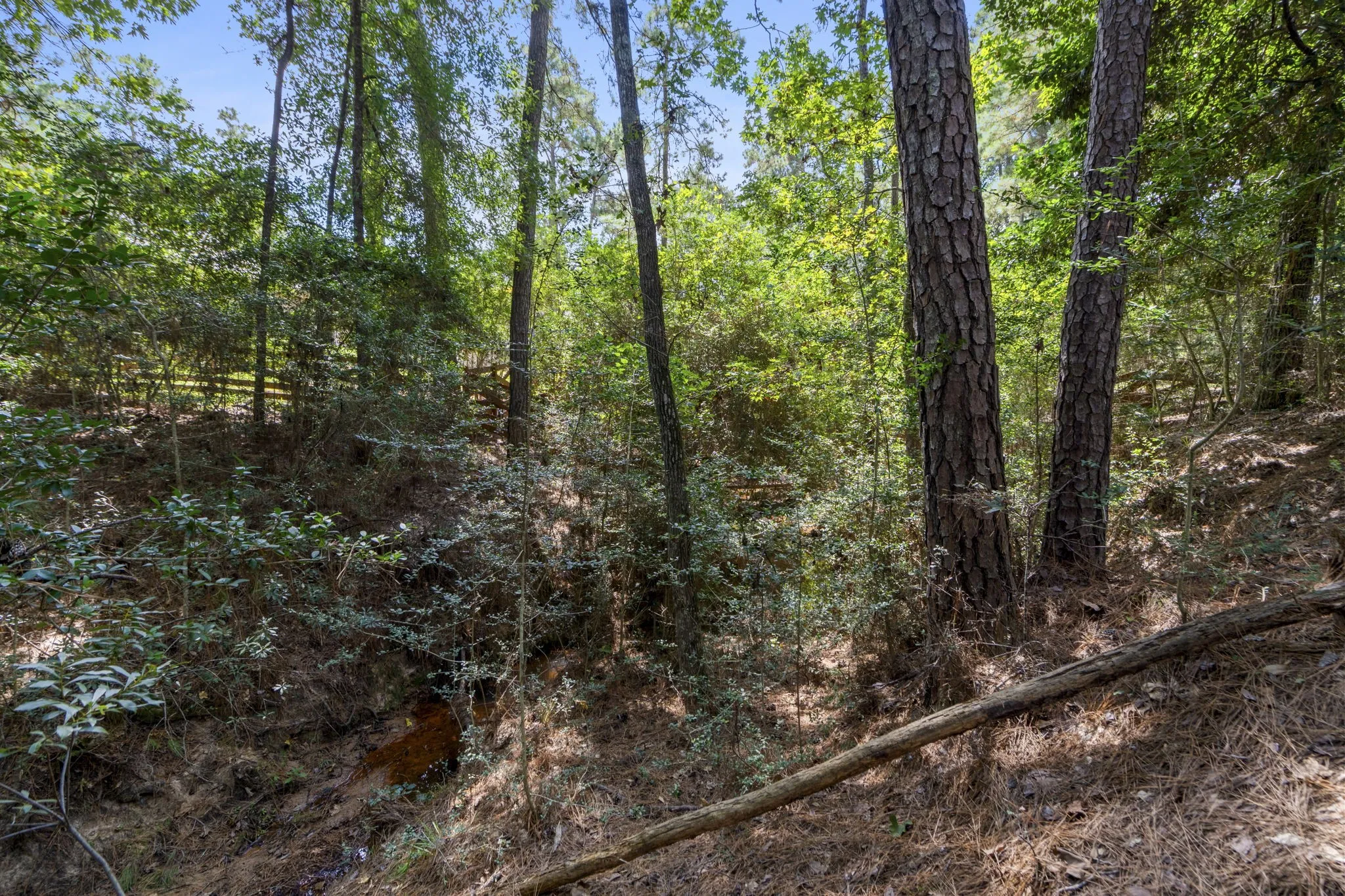 Improved Land For Sale in Montgomery County , 37432 Club house Lane, Montgomery, Texas 77355, 0, 0, Garage spaces, 0 Sqft, built in 0, Price $399,000, mls#21338338, Real Estate Agent in Montgomery, Homes For Sale in Montgomery county, Homes For Sale in Montgomery, Realtor in Montgomery Texas, Real Estate Brokerage Independent Realty Texas, Luminita Cordes Realtor