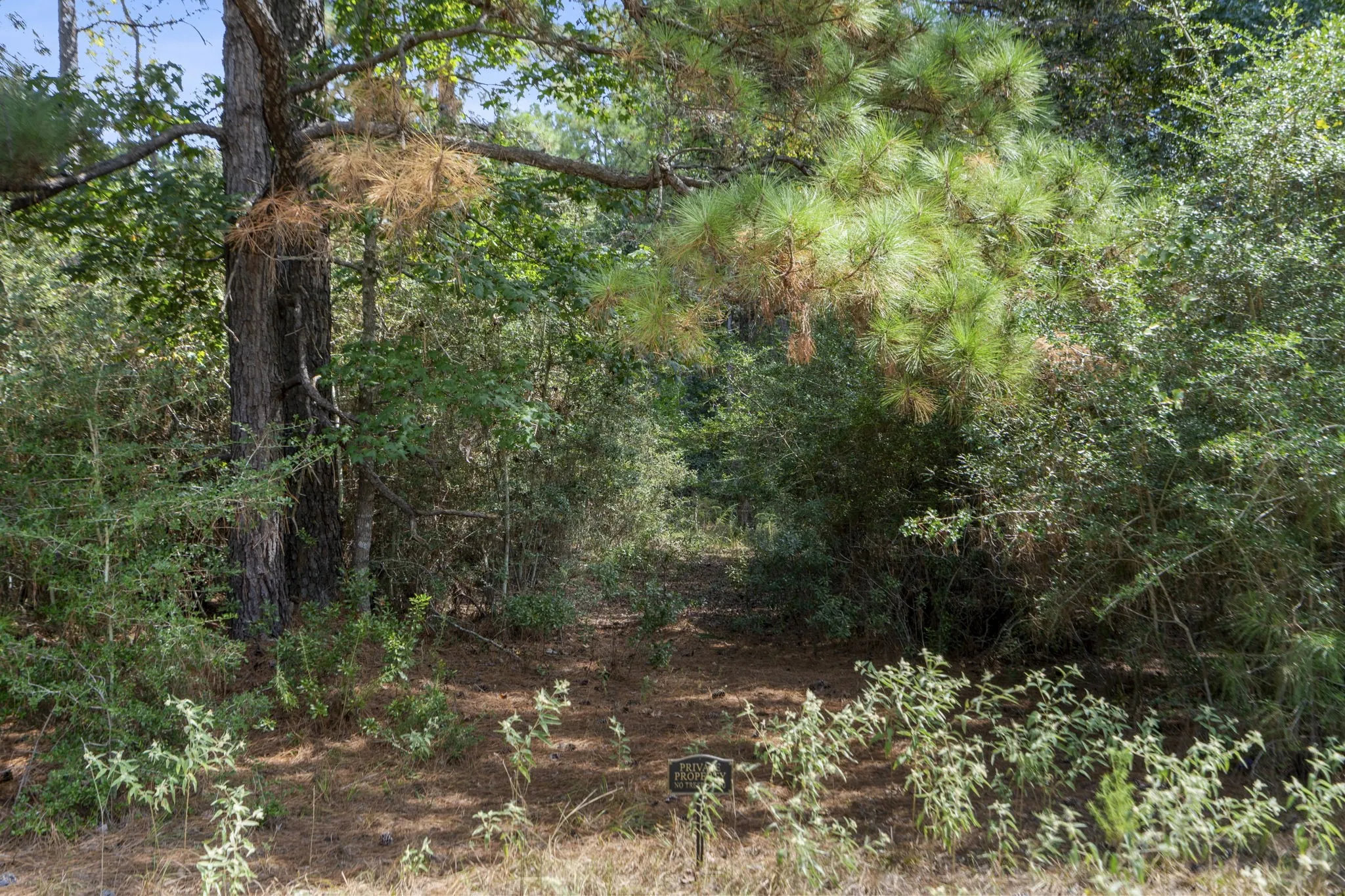 Improved Land For Sale in Montgomery County , 37432 Club house Lane, Montgomery, Texas 77355, 0, 0, Garage spaces, 0 Sqft, built in 0, Price $399,000, mls#21338338, Real Estate Agent in Montgomery, Homes For Sale in Montgomery county, Homes For Sale in Montgomery, Realtor in Montgomery Texas, Real Estate Brokerage Independent Realty Texas, Luminita Cordes Realtor