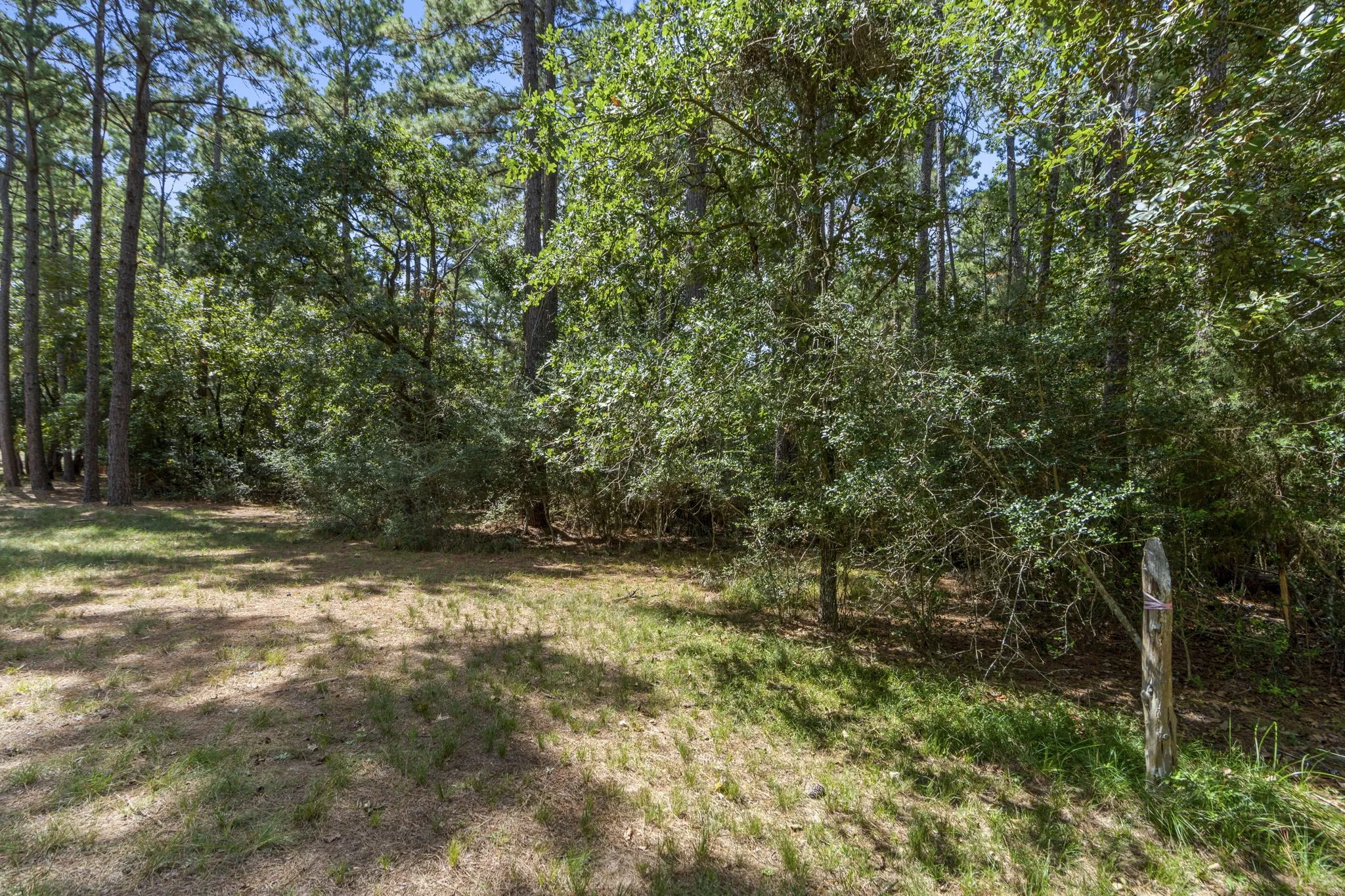 Improved Land For Sale in Montgomery County , 37432 Club house Lane, Montgomery, Texas 77355, 0, 0, Garage spaces, 0 Sqft, built in 0, Price $399,000, mls#21338338, Real Estate Agent in Montgomery, Homes For Sale in Montgomery county, Homes For Sale in Montgomery, Realtor in Montgomery Texas, Real Estate Brokerage Independent Realty Texas, Luminita Cordes Realtor