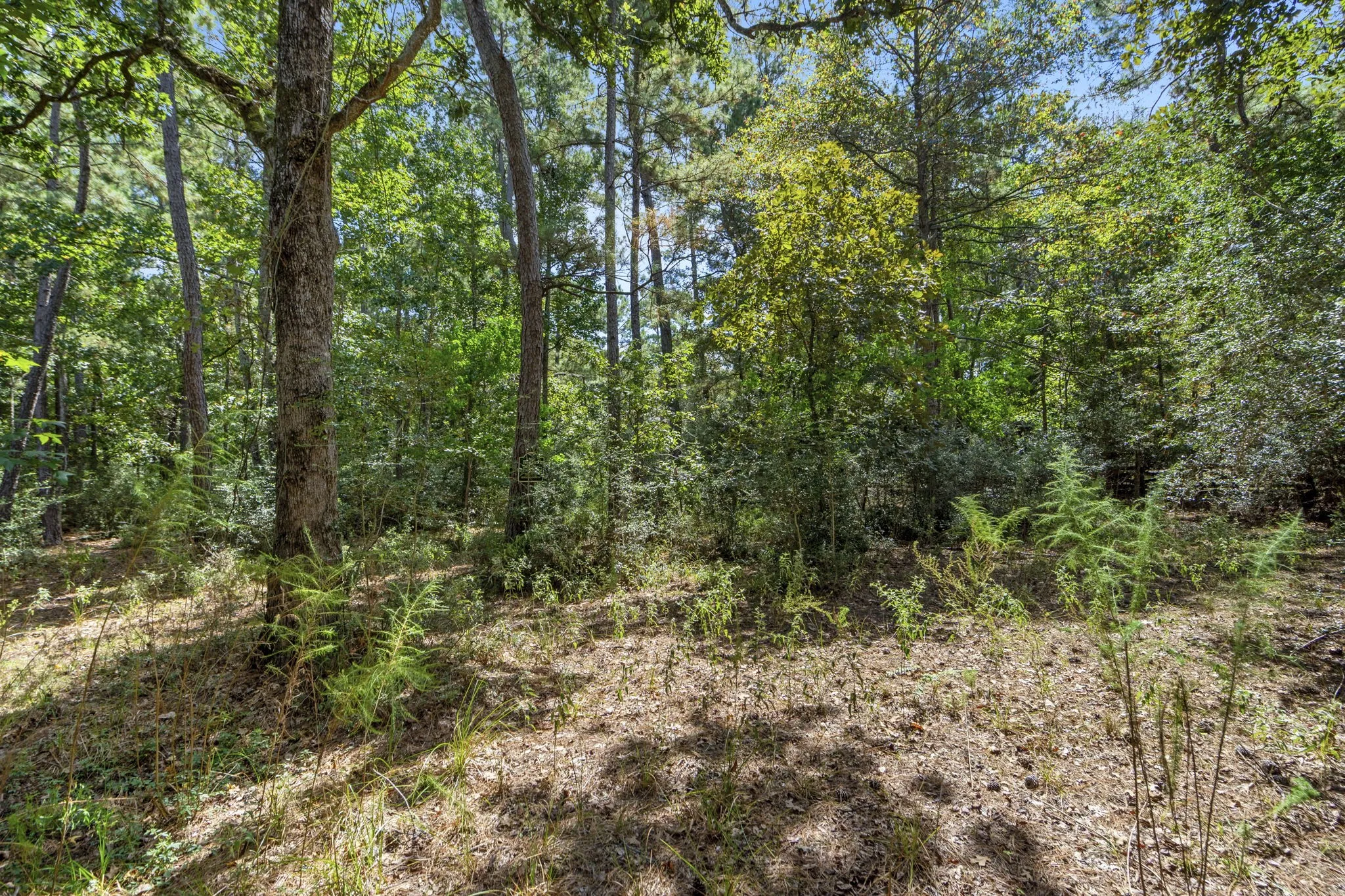Improved Land For Sale in Montgomery County , 37432 Club house Lane, Montgomery, Texas 77355, 0, 0, Garage spaces, 0 Sqft, built in 0, Price $399,000, mls#21338338, Real Estate Agent in Montgomery, Homes For Sale in Montgomery county, Homes For Sale in Montgomery, Realtor in Montgomery Texas, Real Estate Brokerage Independent Realty Texas, Luminita Cordes Realtor