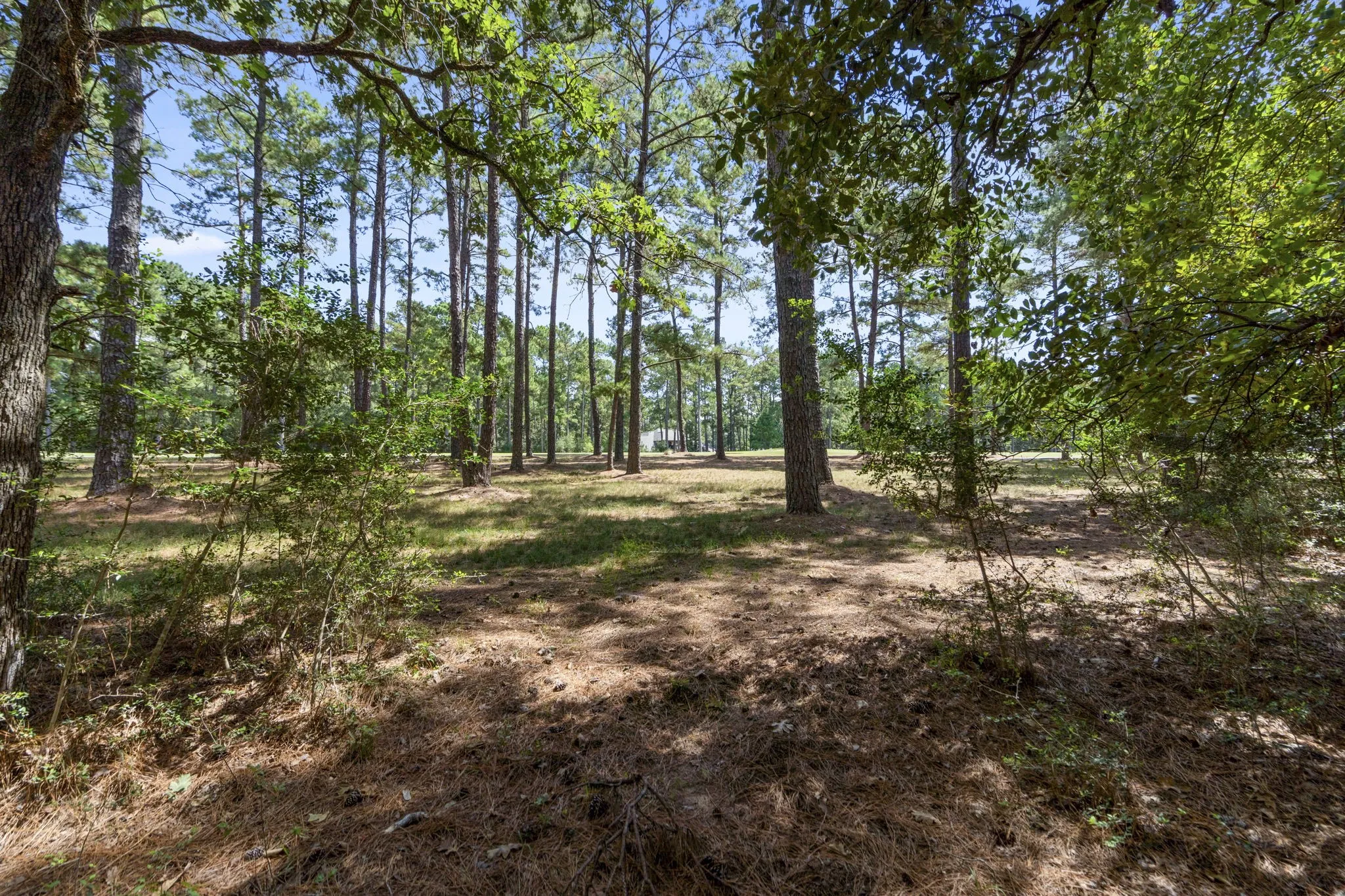 Improved Land For Sale in Montgomery County , 37432 Club house Lane, Montgomery, Texas 77355, 0, 0, Garage spaces, 0 Sqft, built in 0, Price $399,000, mls#21338338, Real Estate Agent in Montgomery, Homes For Sale in Montgomery county, Homes For Sale in Montgomery, Realtor in Montgomery Texas, Real Estate Brokerage Independent Realty Texas, Luminita Cordes Realtor