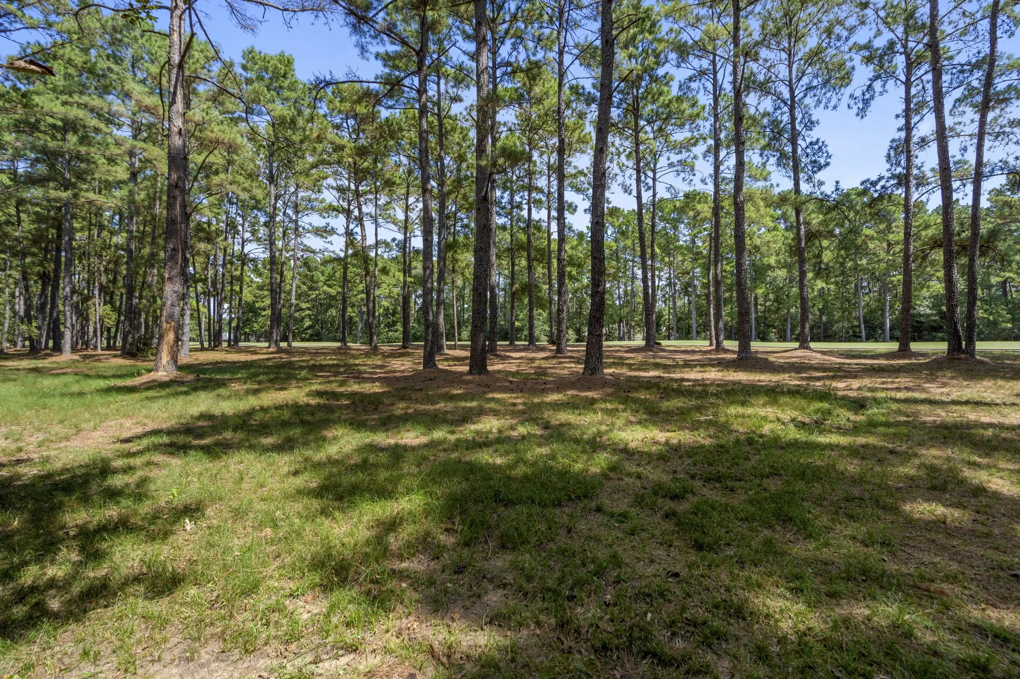 Improved Land For Sale in Montgomery County , 37432 Club house Lane, Montgomery, Texas 77355, 0, 0, Garage spaces, 0 Sqft, built in 0, Price $399,000, mls#21338338, Real Estate Agent in Montgomery, Homes For Sale in Montgomery county, Homes For Sale in Montgomery, Realtor in Montgomery Texas, Real Estate Brokerage Independent Realty Texas, Luminita Cordes Realtor