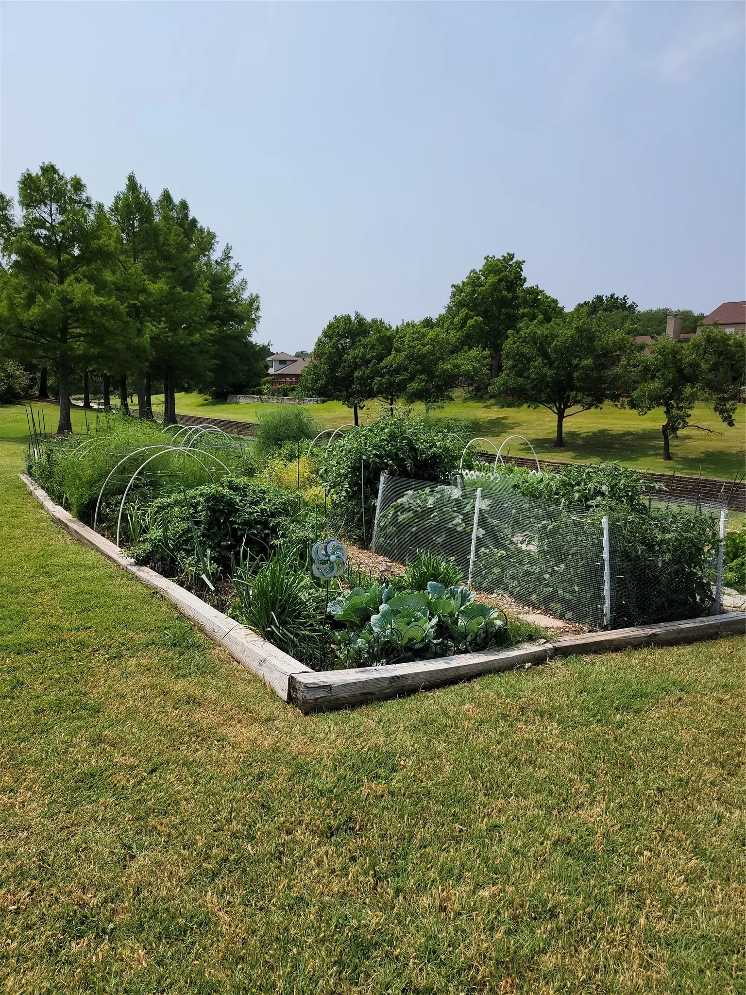 Community Garden