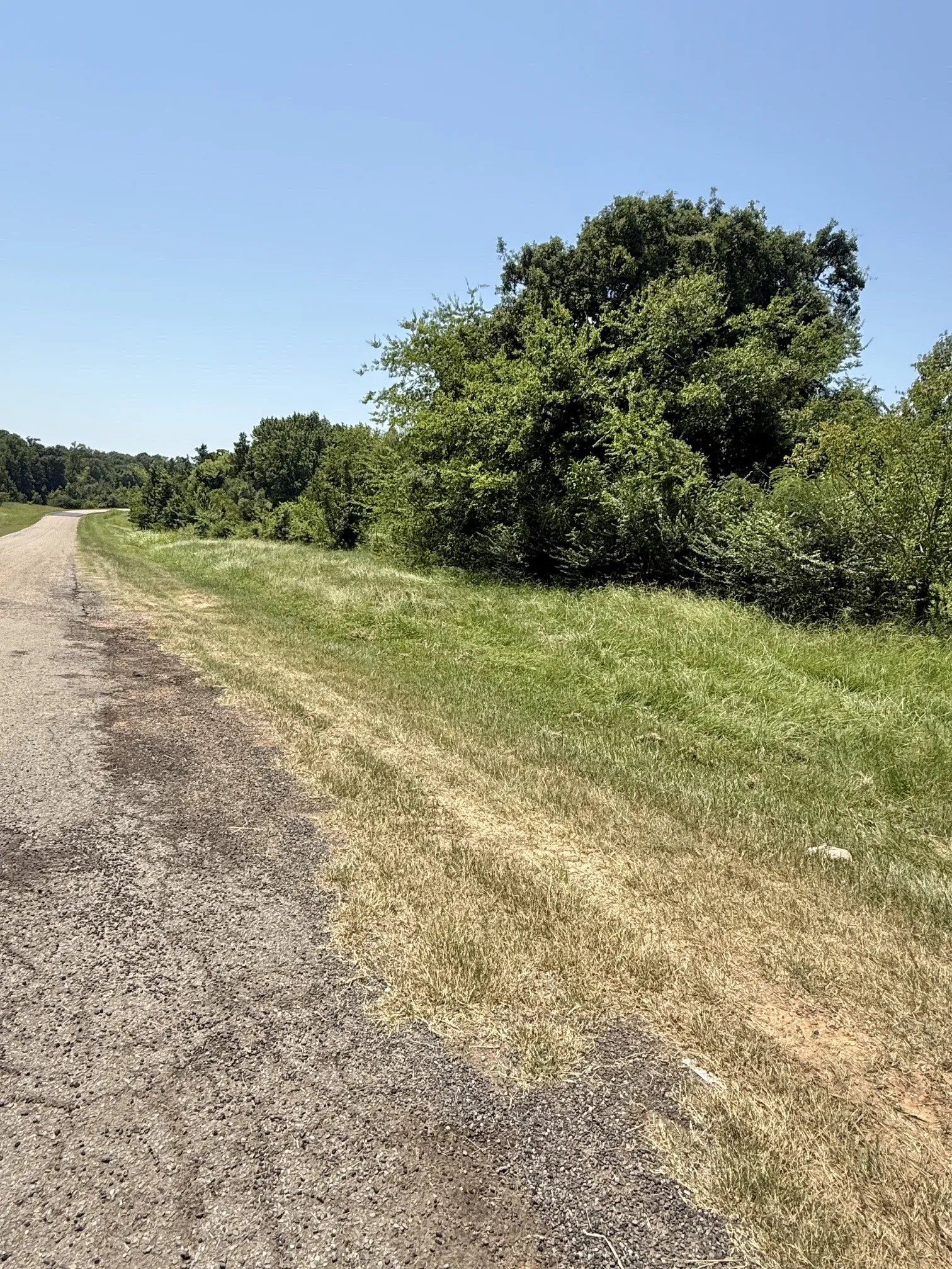 Unimproved Land For Sale in Titus County , TBD FM 2152, Mt Pleasant, Texas 75455, 0, 0, Garage spaces, 0 Sqft, built in 0, Price $265,000, mls#21338982, Real Estate Agent in Mt Pleasant, Homes For Sale in Titus county, Homes For Sale in Mt Pleasant, Realtor in Mt Pleasant Texas, Real Estate Brokerage Independent Realty Texas, Luminita Cordes Realtor