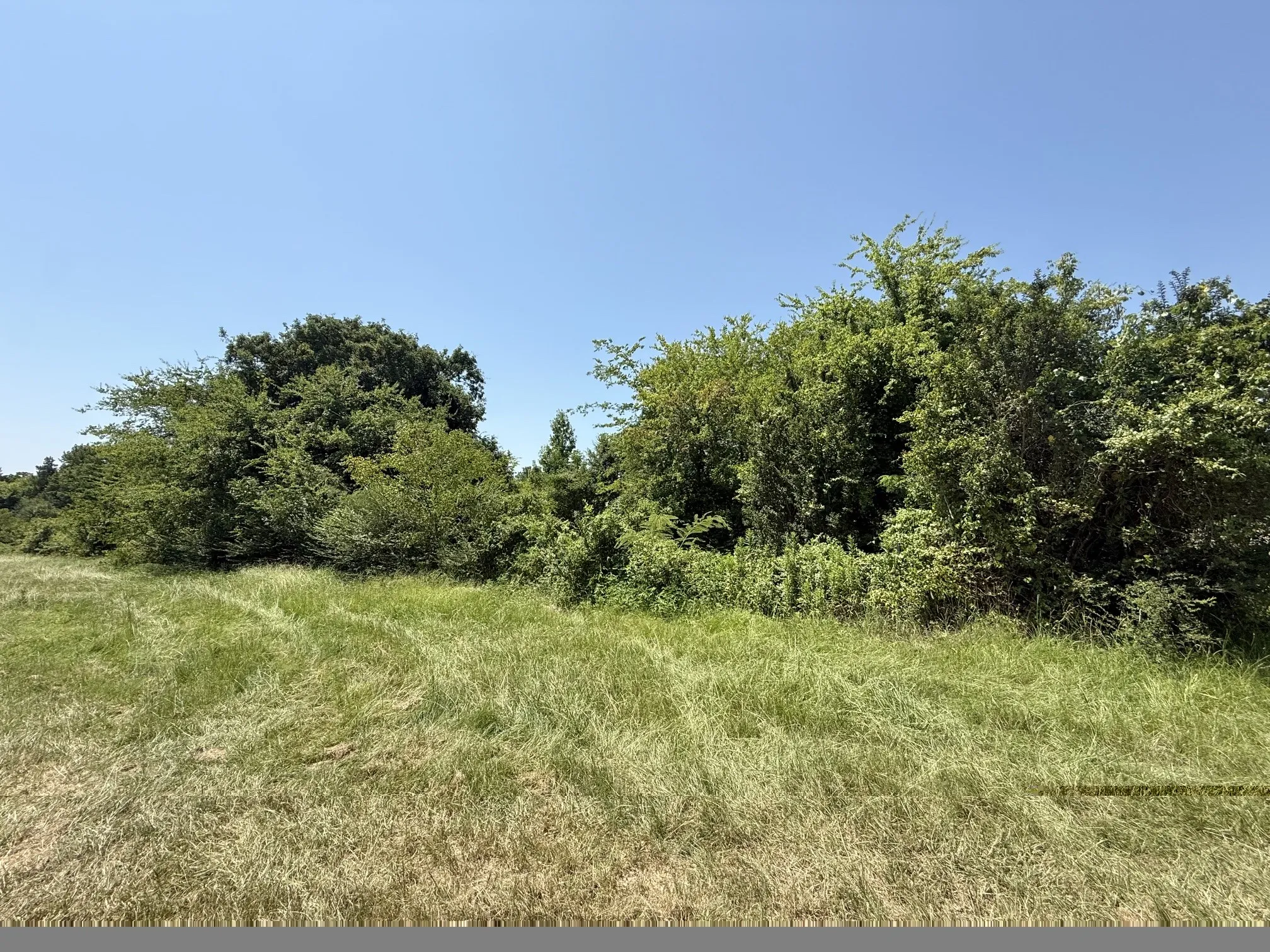 Unimproved Land For Sale in Titus County , TBD FM 2152, Mt Pleasant, Texas 75455, 0, 0, Garage spaces, 0 Sqft, built in 0, Price $265,000, mls#21338982, Real Estate Agent in Mt Pleasant, Homes For Sale in Titus county, Homes For Sale in Mt Pleasant, Realtor in Mt Pleasant Texas, Real Estate Brokerage Independent Realty Texas, Luminita Cordes Realtor