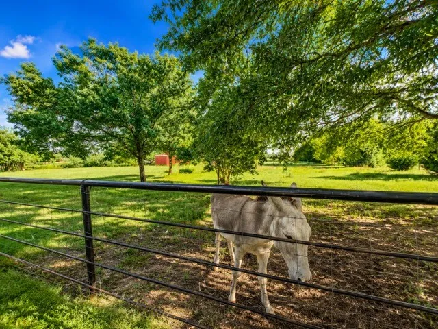 Single Family Residence For Sale in Hunt County , 1817 County Road 3327, Greenville, Texas 75402, 5 Bedroom, 3 Bathroom, 2 Garage spaces, 2,696 Sqft, built in 1987, Price $499,900, mls#21338897, Real Estate Agent in Greenville, Homes For Sale in Hunt county, Homes For Sale in Greenville, Realtor in Greenville Texas, Real Estate Brokerage Independent Realty Texas, Luminita Cordes Realtor