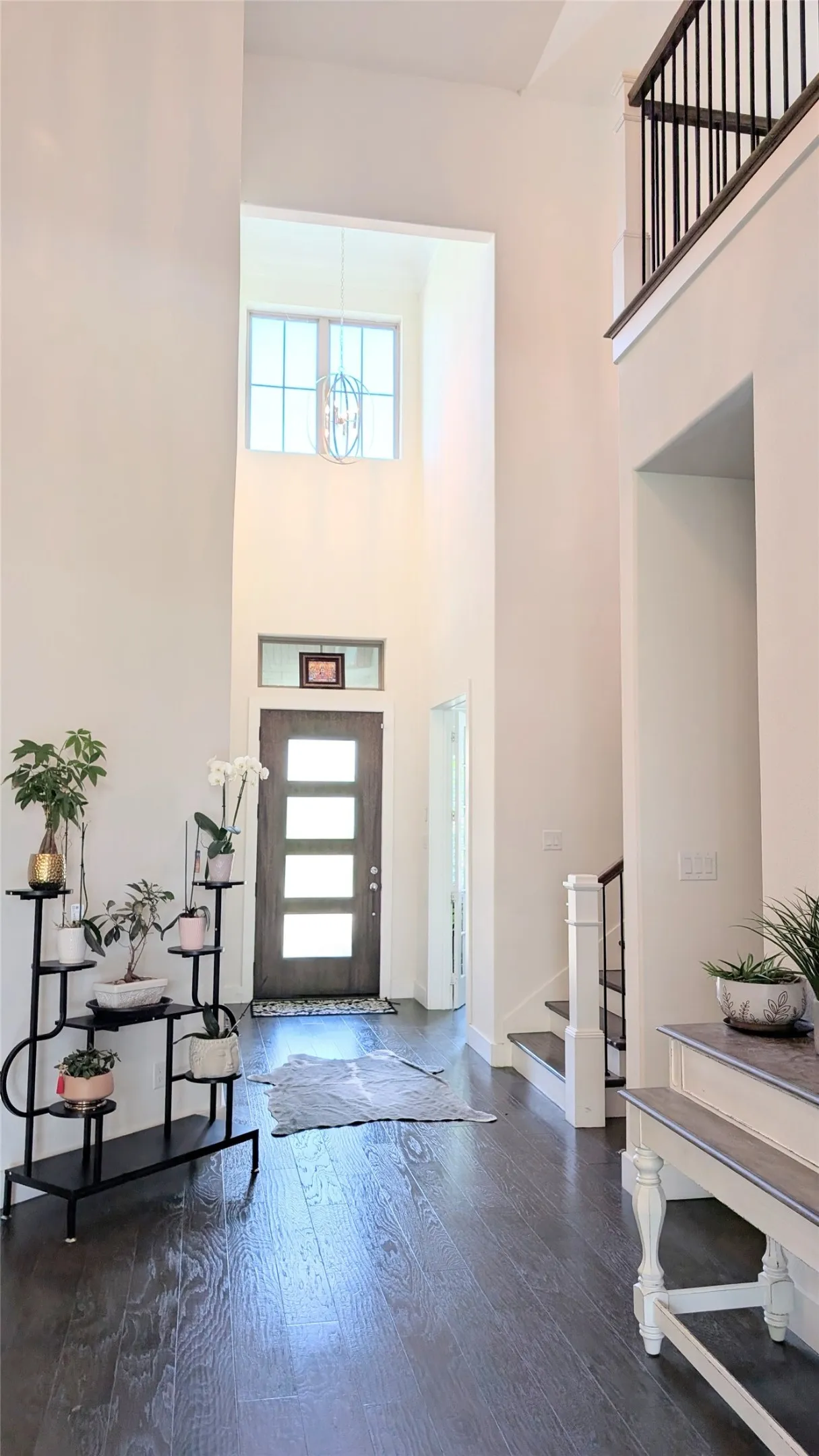 Two-story foyer featuring dark wood-finish flooring, a modern door with four frosted glass panels, and a prominent second-story window