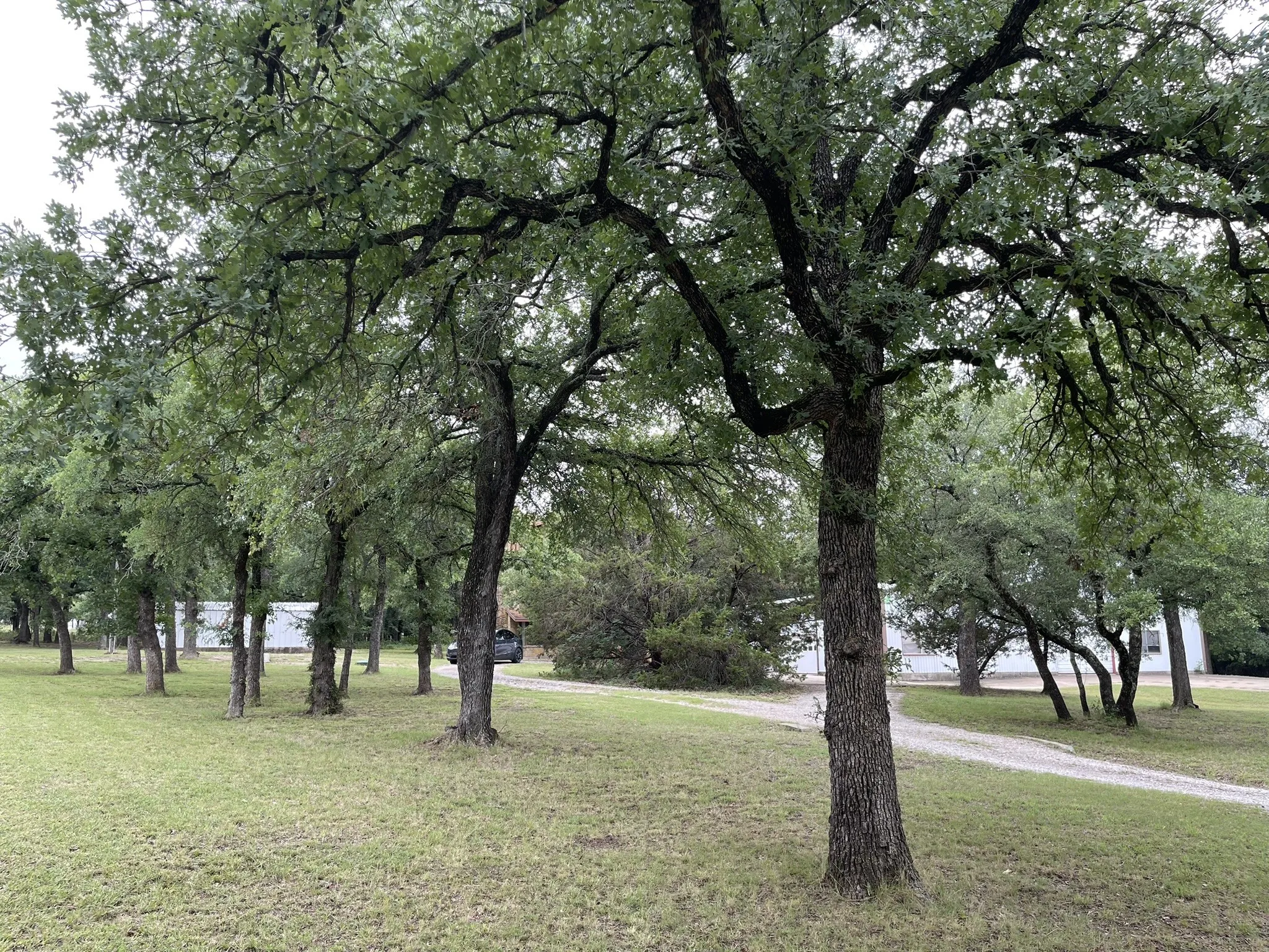 Single Family Residence For Sale in Parker County , 296 E Bluff Springs Road, Fort Worth, Texas 76108, 3 Bedroom, 2 Bathroom, 10 Garage spaces, 1,404 Sqft, built in 1983, mls#21339077, Real Estate Agent in Fort Worth, Homes For Sale in Parker county, Homes For Sale in Fort Worth, Realtor in Fort Worth Texas, Real Estate Brokerage Independent Realty Texas, Luminita Cordes Realtor