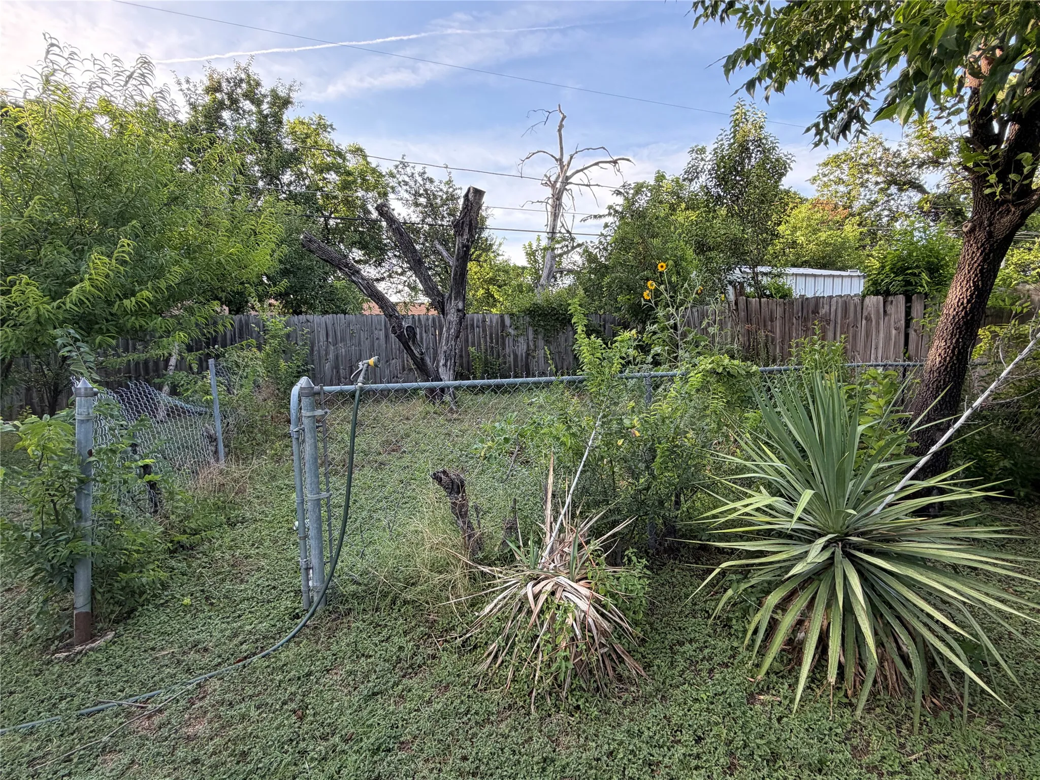 Single Family Residence For Sale in Dallas County , 2329 Clover Ridge Drive, Dallas, Texas 75216, 3 Bedrooms, 1 Bathroom, 1 Garage spaces, 1,080 Sqft, built in 1959, Price $180,000, mls#21336872, Real Estate Agent in Dallas, Homes For Sale in Dallas county, Homes For Sale in Dallas, Realtor in Dallas Texas, Real Estate Brokerage Independent Realty Texas, Luminita Cordes Realtor