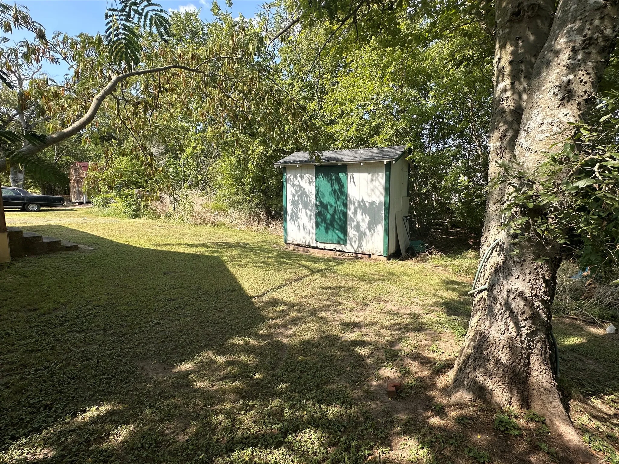 Wood-sided shed with green doors situated in a grassy area with mature trees