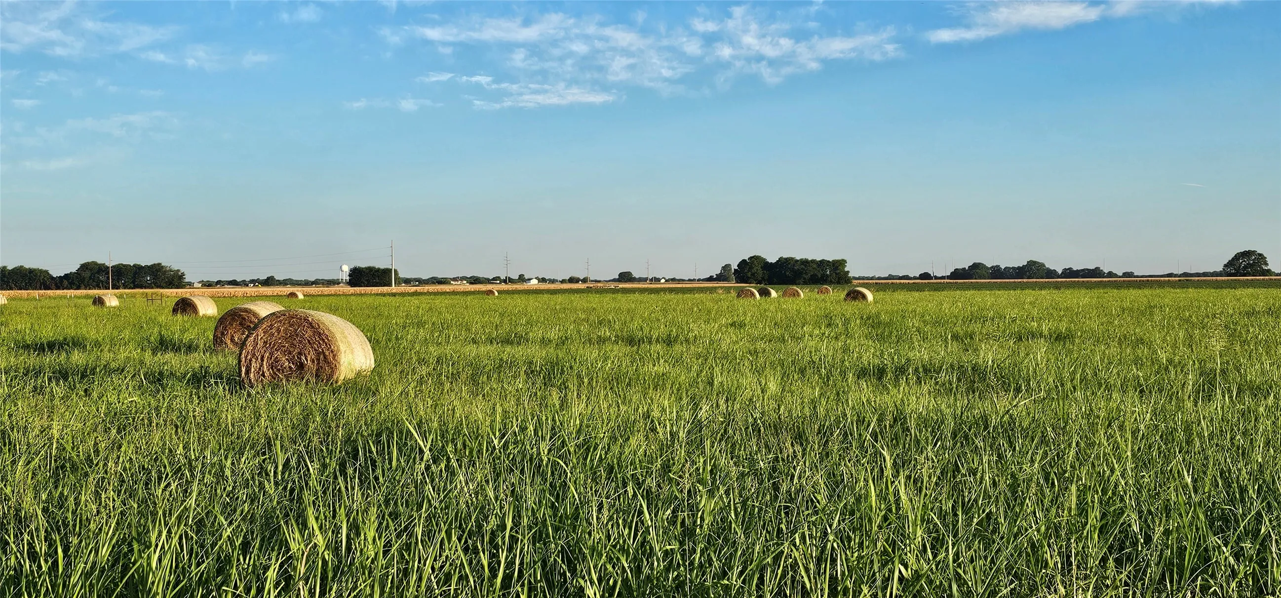 Expansive agricultural land featuring a verdant field and distant tree lines