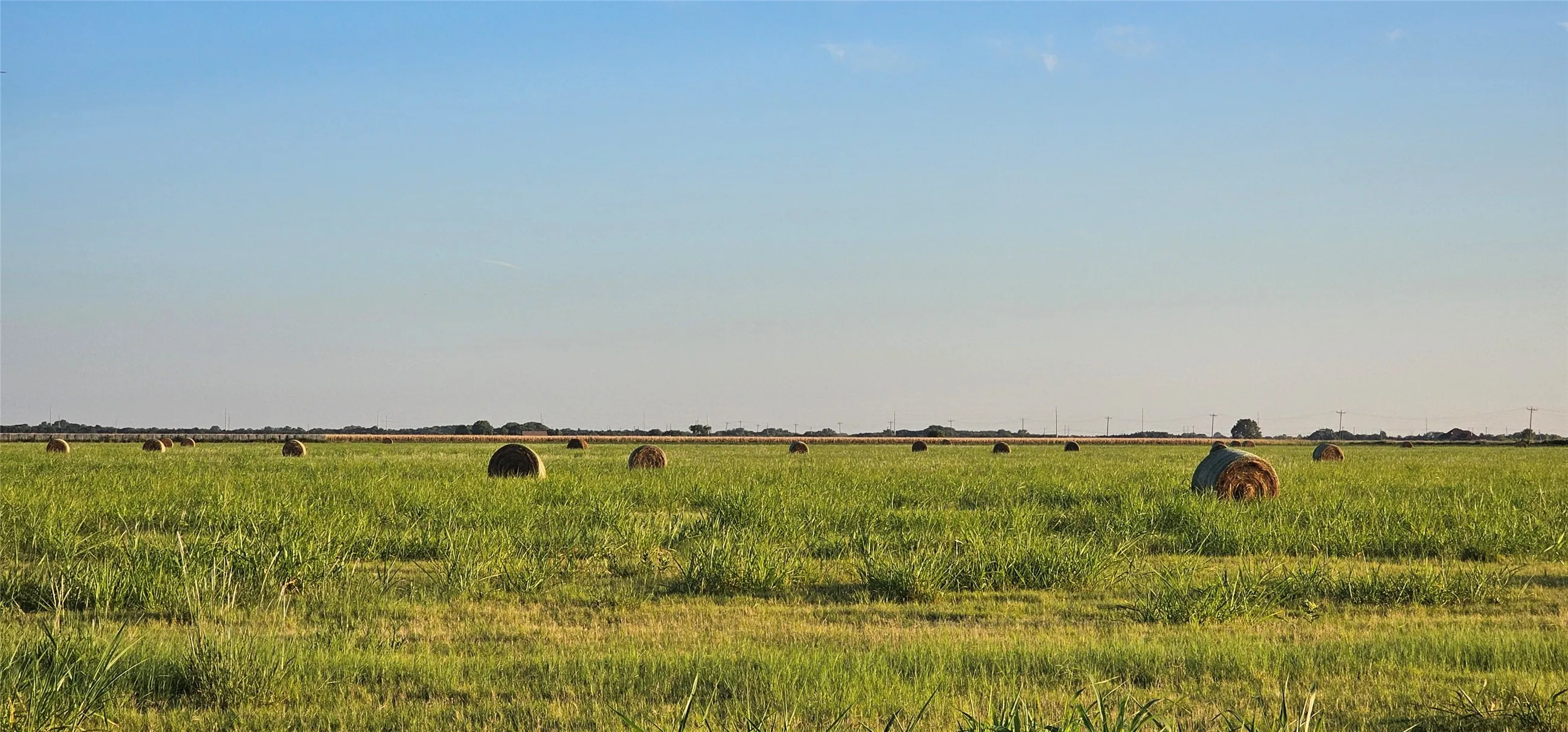 Behind this expansive agricultural land is being proposed to be commercial or industrial area.