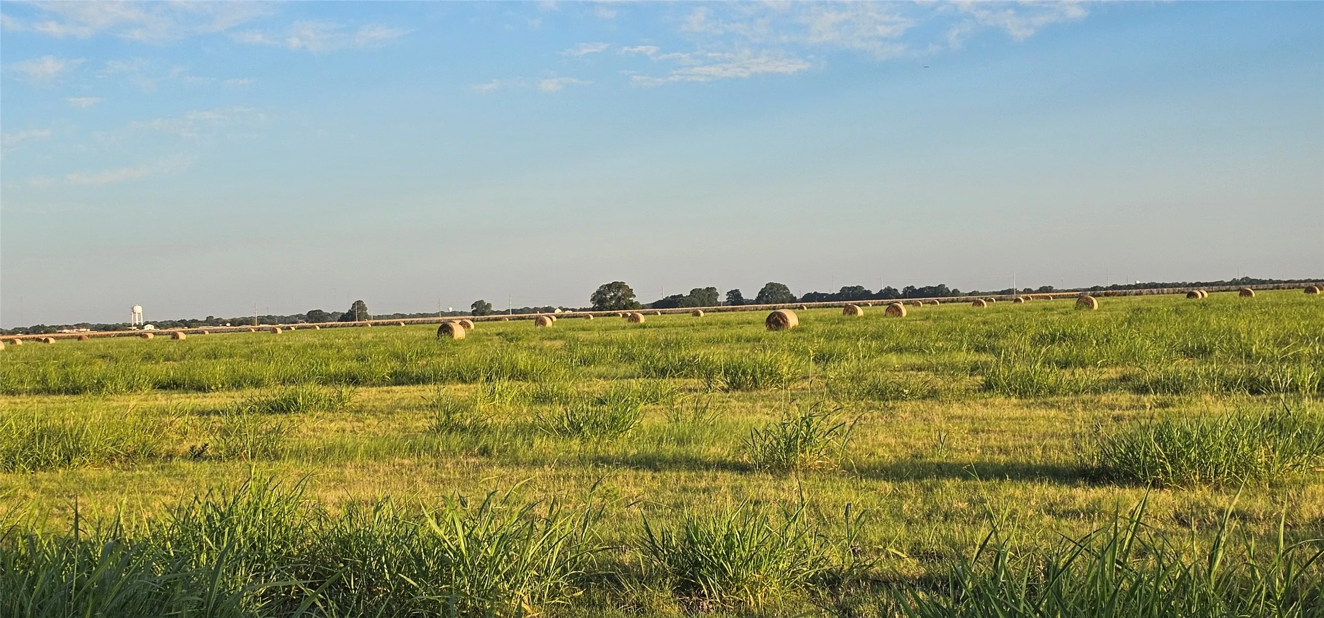 Looking northwest, shows expansive green field with scattered hay bales