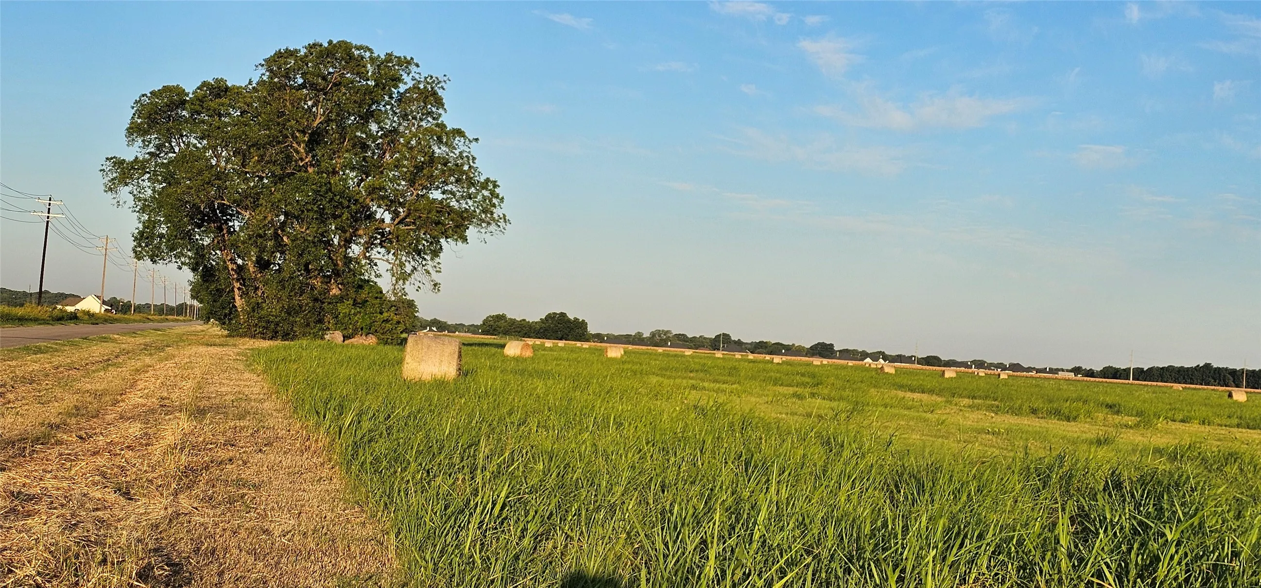 Looking south, property is currently used as hay production field.