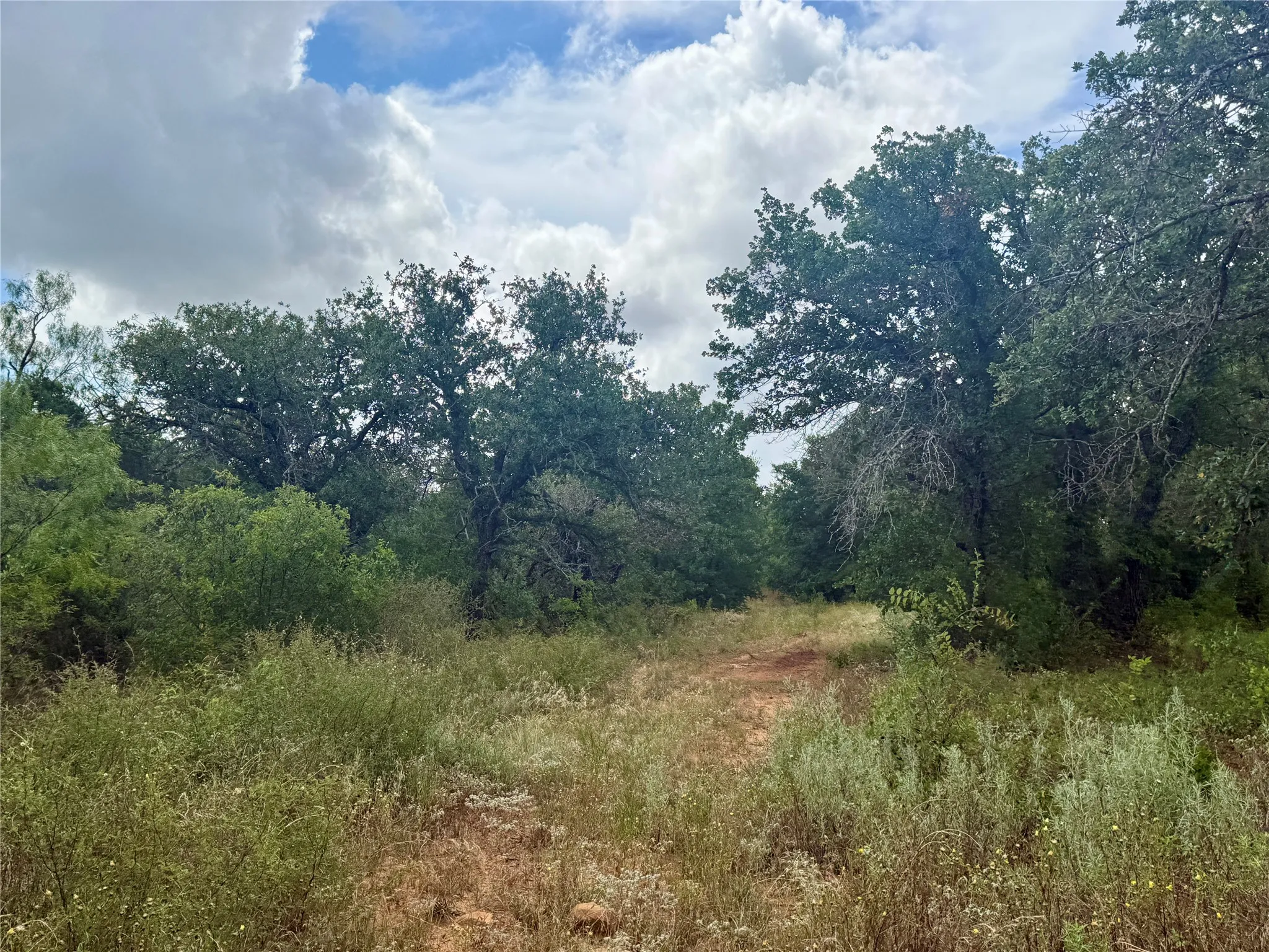Improved Land For Sale in Coleman County , 405 County Road 102, Santa Anna, Texas 76878, 0, 0, Garage spaces, 0 Sqft, built in 1998, mls#21339228, Real Estate Agent in Santa Anna, Homes For Sale in Coleman county, Homes For Sale in Santa Anna, Realtor in Santa Anna Texas, Real Estate Brokerage Independent Realty Texas, Luminita Cordes Realtor