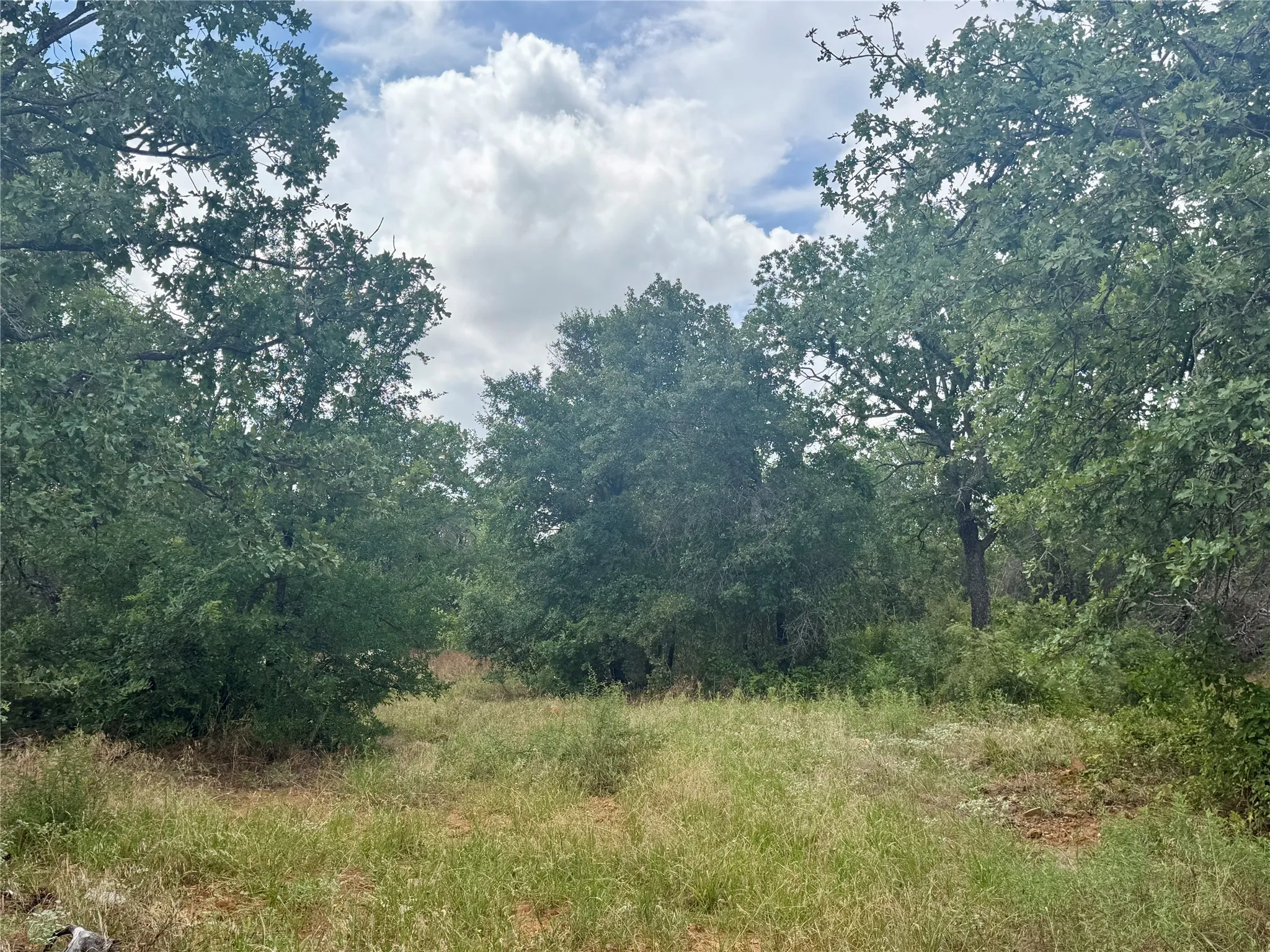 Improved Land For Sale in Coleman County , 405 County Road 102, Santa Anna, Texas 76878, 0, 0, Garage spaces, 0 Sqft, built in 1998, mls#21339228, Real Estate Agent in Santa Anna, Homes For Sale in Coleman county, Homes For Sale in Santa Anna, Realtor in Santa Anna Texas, Real Estate Brokerage Independent Realty Texas, Luminita Cordes Realtor
