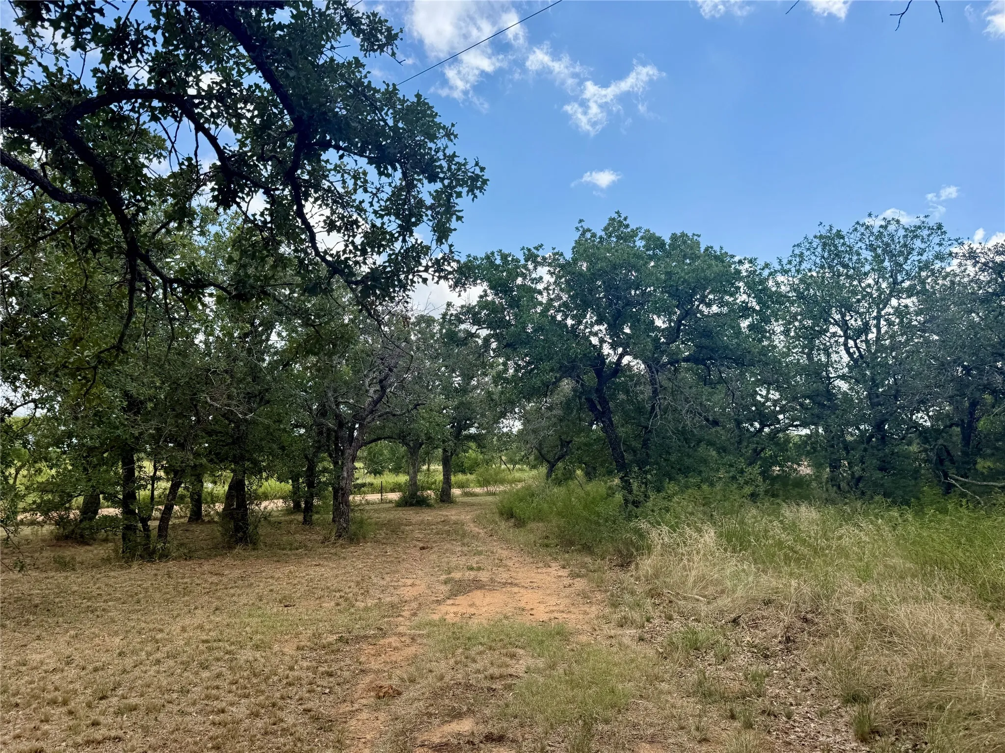 Improved Land For Sale in Coleman County , 405 County Road 102, Santa Anna, Texas 76878, 0, 0, Garage spaces, 0 Sqft, built in 1998, mls#21339228, Real Estate Agent in Santa Anna, Homes For Sale in Coleman county, Homes For Sale in Santa Anna, Realtor in Santa Anna Texas, Real Estate Brokerage Independent Realty Texas, Luminita Cordes Realtor