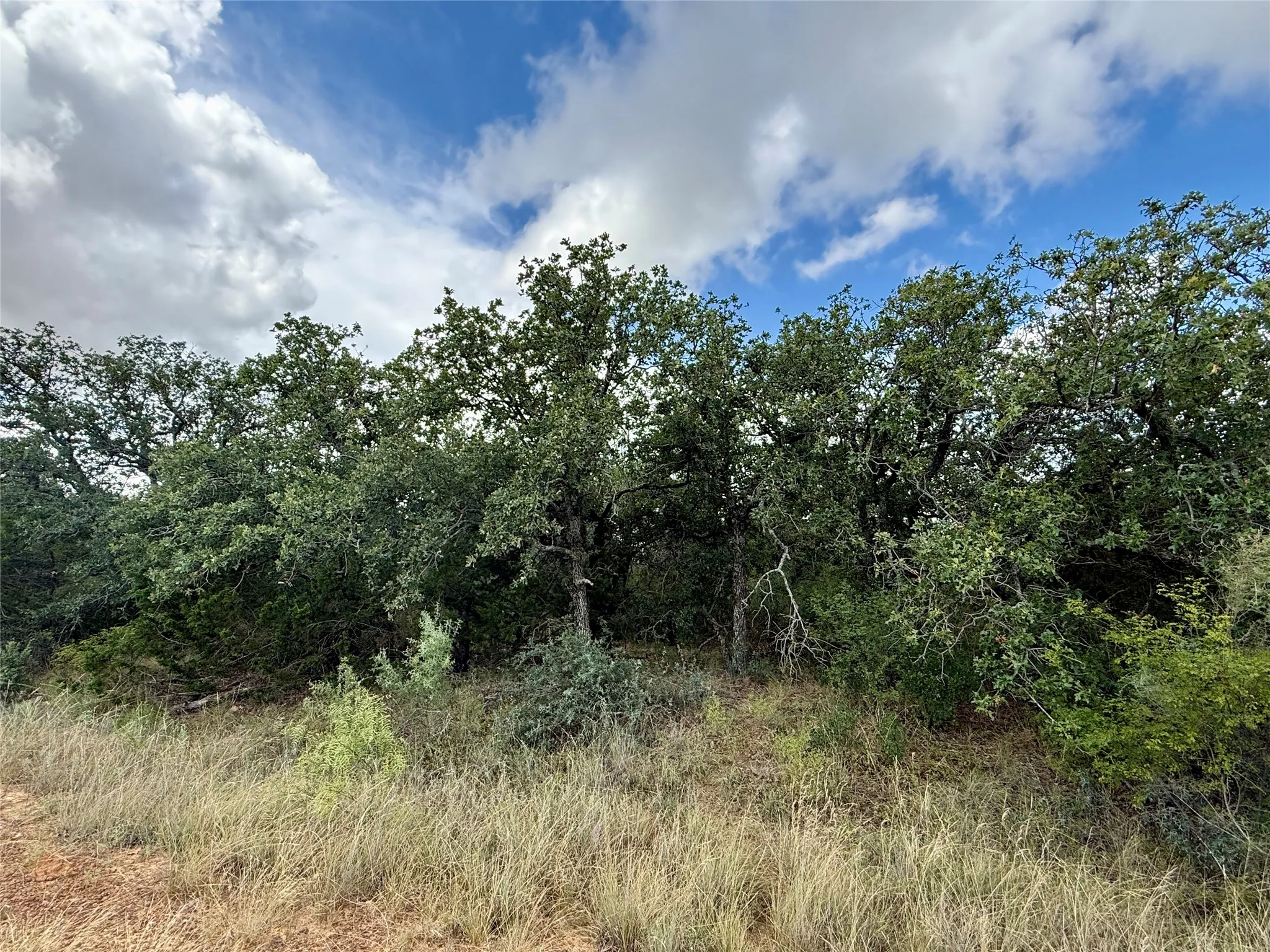 Improved Land For Sale in Coleman County , 405 County Road 102, Santa Anna, Texas 76878, 0, 0, Garage spaces, 0 Sqft, built in 1998, mls#21339228, Real Estate Agent in Santa Anna, Homes For Sale in Coleman county, Homes For Sale in Santa Anna, Realtor in Santa Anna Texas, Real Estate Brokerage Independent Realty Texas, Luminita Cordes Realtor