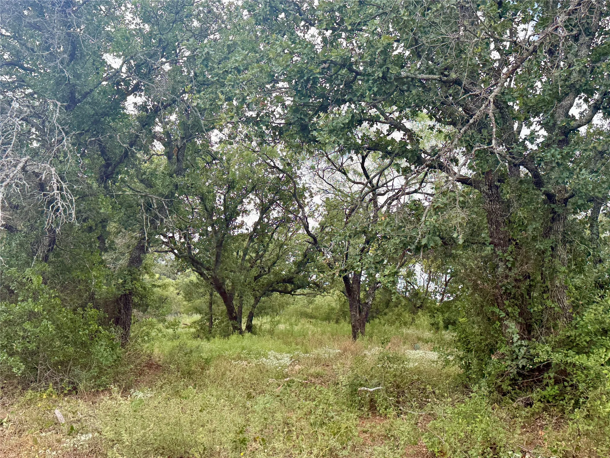 Improved Land For Sale in Coleman County , 405 County Road 102, Santa Anna, Texas 76878, 0, 0, Garage spaces, 0 Sqft, built in 1998, mls#21339228, Real Estate Agent in Santa Anna, Homes For Sale in Coleman county, Homes For Sale in Santa Anna, Realtor in Santa Anna Texas, Real Estate Brokerage Independent Realty Texas, Luminita Cordes Realtor