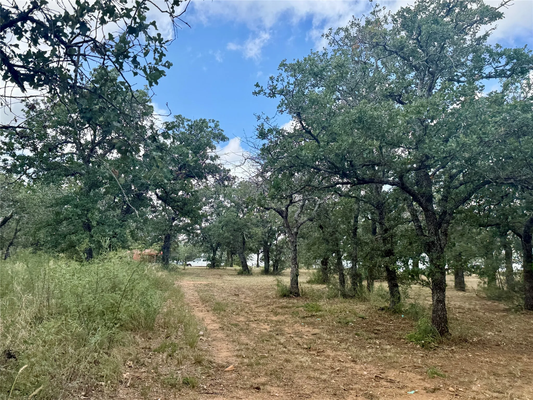 Improved Land For Sale in Coleman County , 405 County Road 102, Santa Anna, Texas 76878, 0, 0, Garage spaces, 0 Sqft, built in 1998, mls#21339228, Real Estate Agent in Santa Anna, Homes For Sale in Coleman county, Homes For Sale in Santa Anna, Realtor in Santa Anna Texas, Real Estate Brokerage Independent Realty Texas, Luminita Cordes Realtor