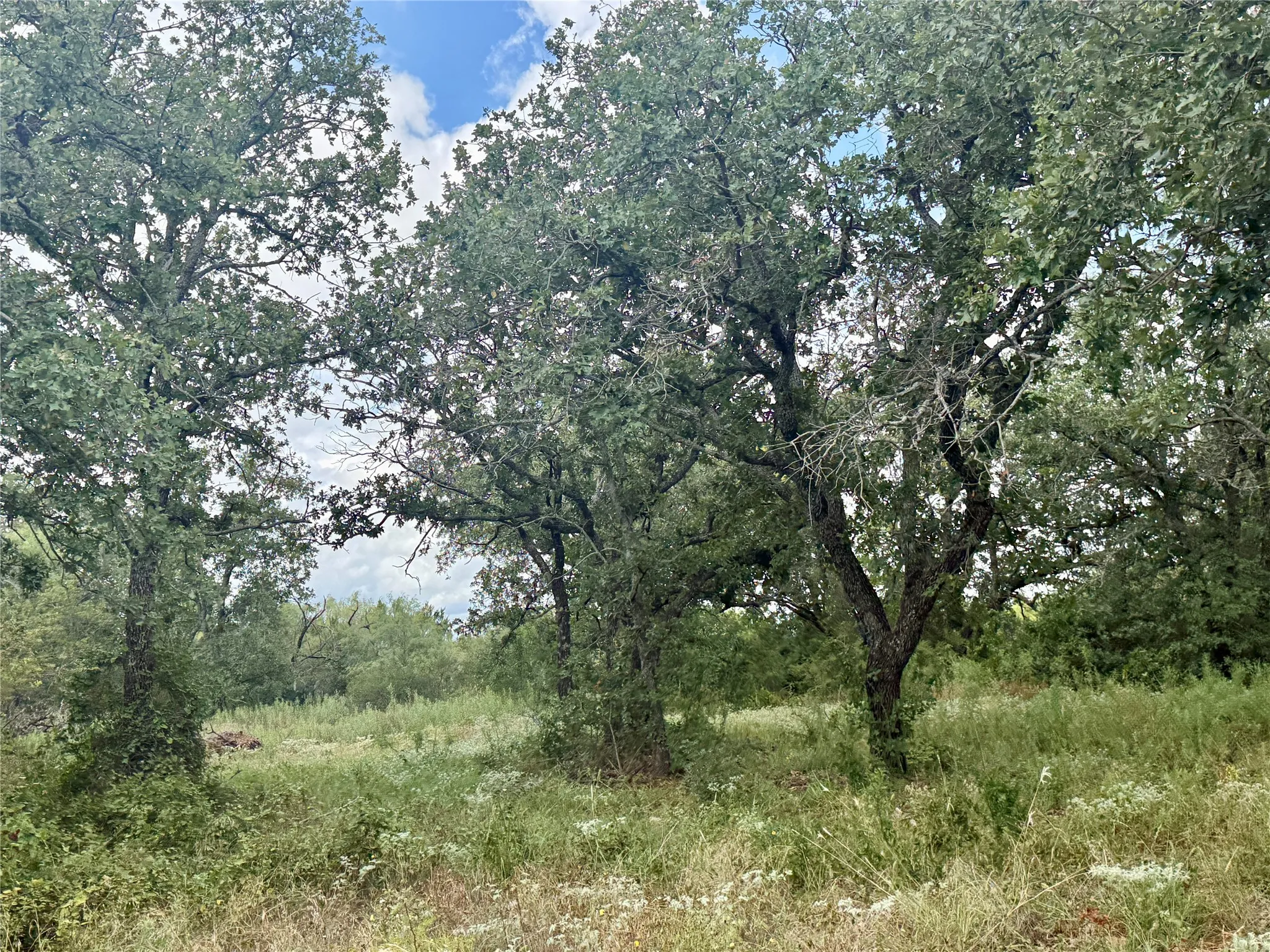 Improved Land For Sale in Coleman County , 405 County Road 102, Santa Anna, Texas 76878, 0, 0, Garage spaces, 0 Sqft, built in 1998, mls#21339228, Real Estate Agent in Santa Anna, Homes For Sale in Coleman county, Homes For Sale in Santa Anna, Realtor in Santa Anna Texas, Real Estate Brokerage Independent Realty Texas, Luminita Cordes Realtor