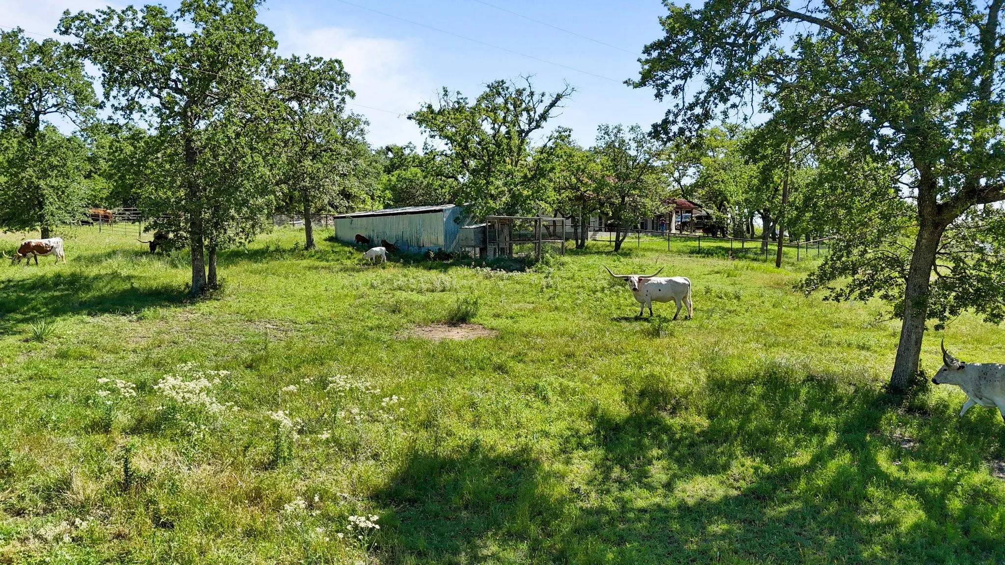 Farm For Sale in Wise County , 156 Private Road 3626, Springtown, Texas 76082, 3 Bedroom, 2 Bathroom, Garage spaces, 2,212 Sqft, built in 2002, mls#21338239, Real Estate Agent in Springtown, Homes For Sale in Wise county, Homes For Sale in Springtown, Realtor in Springtown Texas, Real Estate Brokerage Independent Realty Texas, Luminita Cordes Realtor