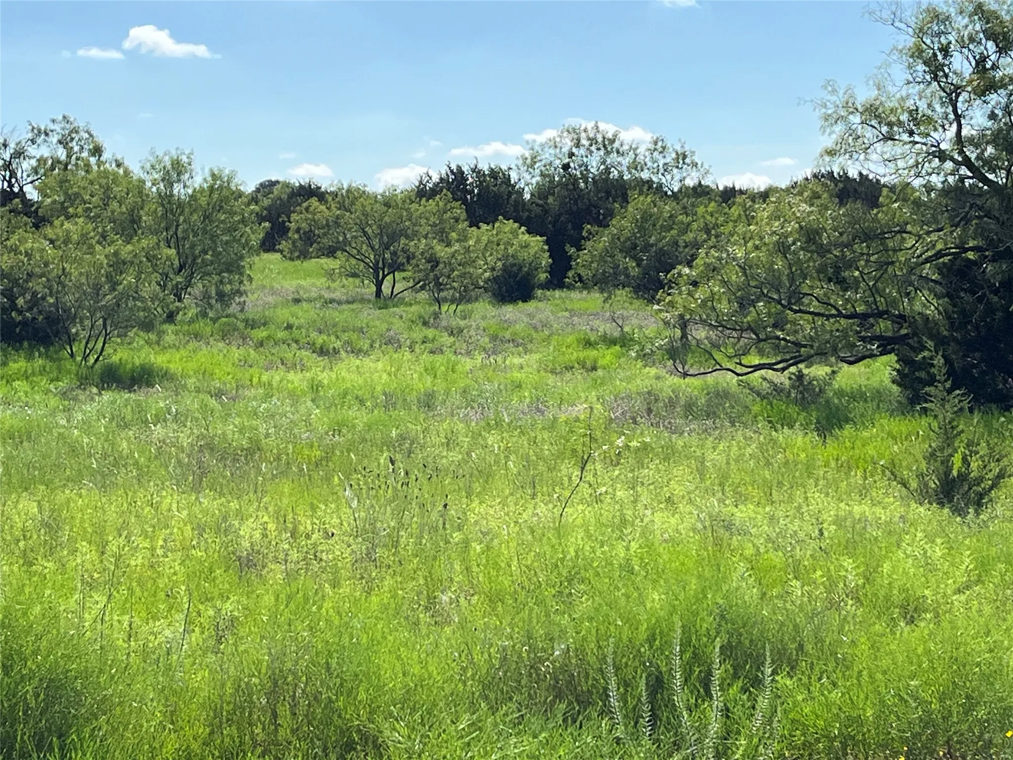 Unimproved Land For Sale in Lampasas County , 3588 N US Highway 281, Lampasas, Texas 76550, 0, 0, Garage spaces, 0 Sqft, built in 0, mls#21339272, Real Estate Agent in Lampasas, Homes For Sale in Lampasas county, Homes For Sale in Lampasas, Realtor in Lampasas Texas, Real Estate Brokerage Independent Realty Texas, Luminita Cordes Realtor
