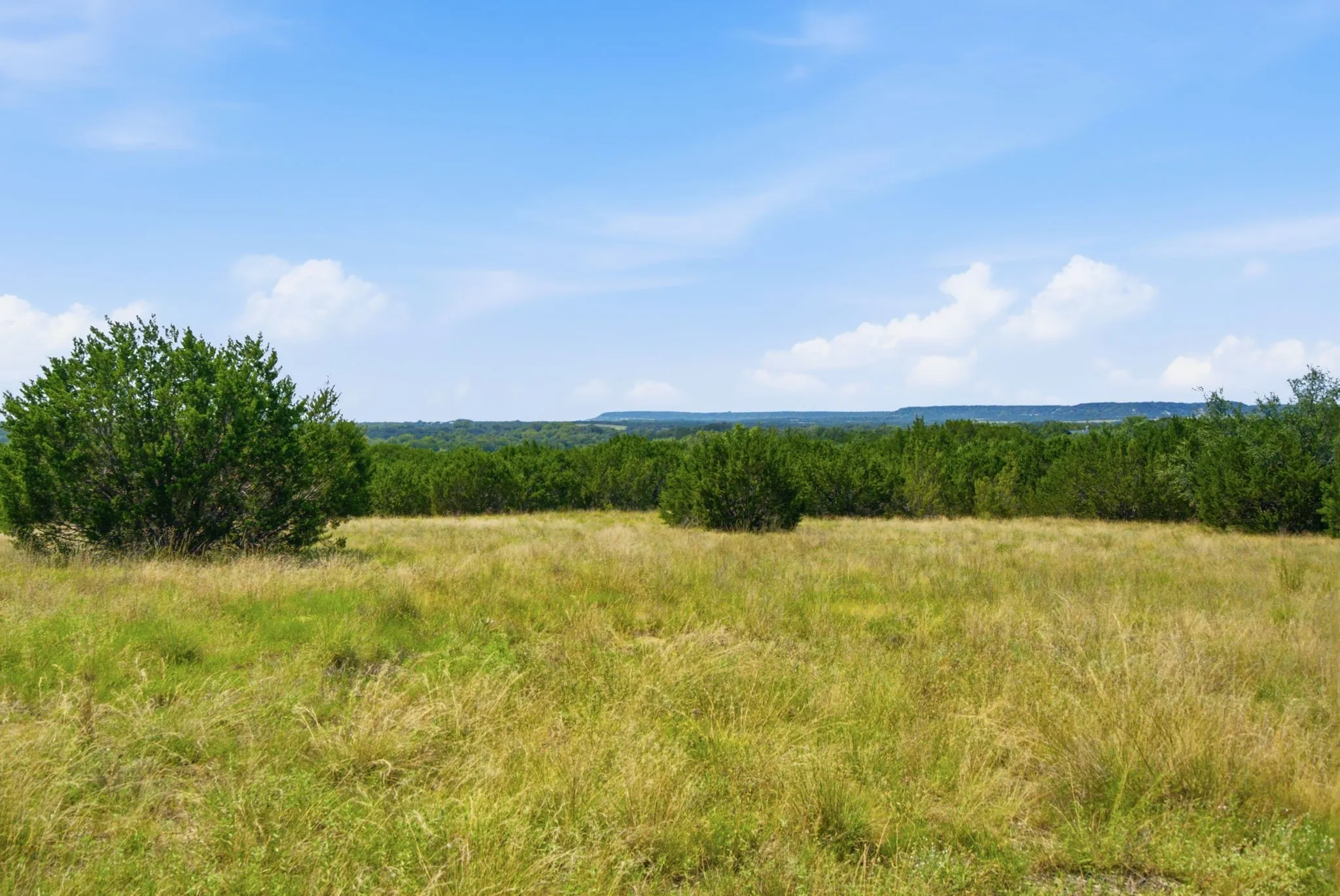 Unimproved Land For Sale in Bosque County , TBD Fm 216 89, Iredell, Texas 76649, 0, 0, Garage spaces, 0 Sqft, built in 0, mls#21339126, Real Estate Agent in Iredell, Homes For Sale in Bosque county, Homes For Sale in Iredell, Realtor in Iredell Texas, Real Estate Brokerage Independent Realty Texas, Luminita Cordes Realtor