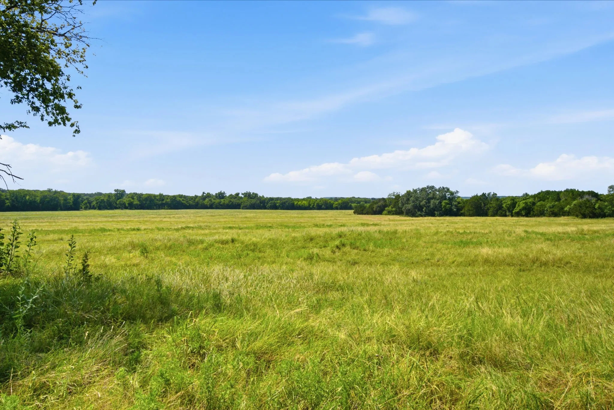Unimproved Land For Sale in Bosque County , TBD Fm 216 89, Iredell, Texas 76649, 0, 0, Garage spaces, 0 Sqft, built in 0, mls#21339126, Real Estate Agent in Iredell, Homes For Sale in Bosque county, Homes For Sale in Iredell, Realtor in Iredell Texas, Real Estate Brokerage Independent Realty Texas, Luminita Cordes Realtor
