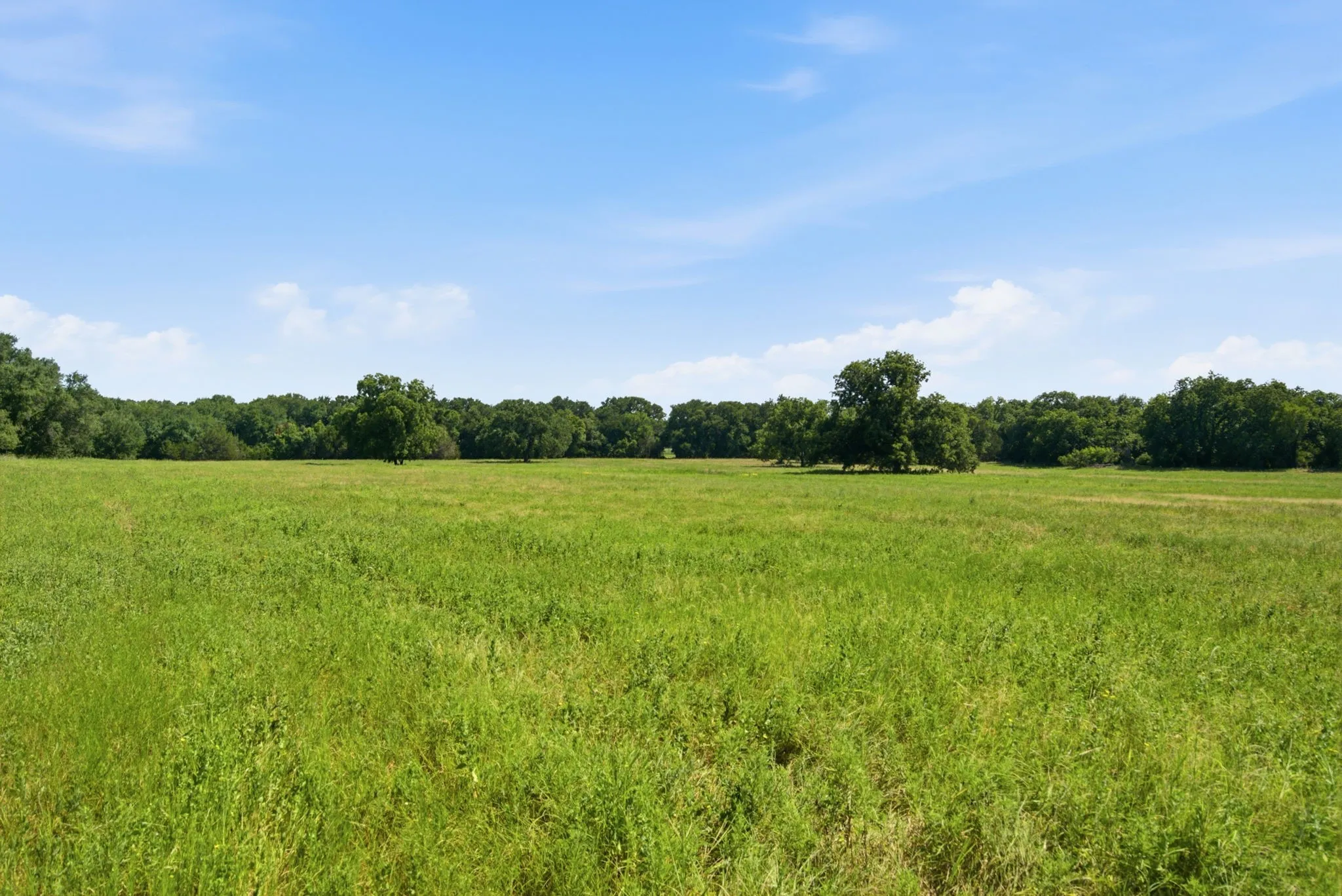 Unimproved Land For Sale in Bosque County , TBD Fm 216 89, Iredell, Texas 76649, 0, 0, Garage spaces, 0 Sqft, built in 0, mls#21339126, Real Estate Agent in Iredell, Homes For Sale in Bosque county, Homes For Sale in Iredell, Realtor in Iredell Texas, Real Estate Brokerage Independent Realty Texas, Luminita Cordes Realtor