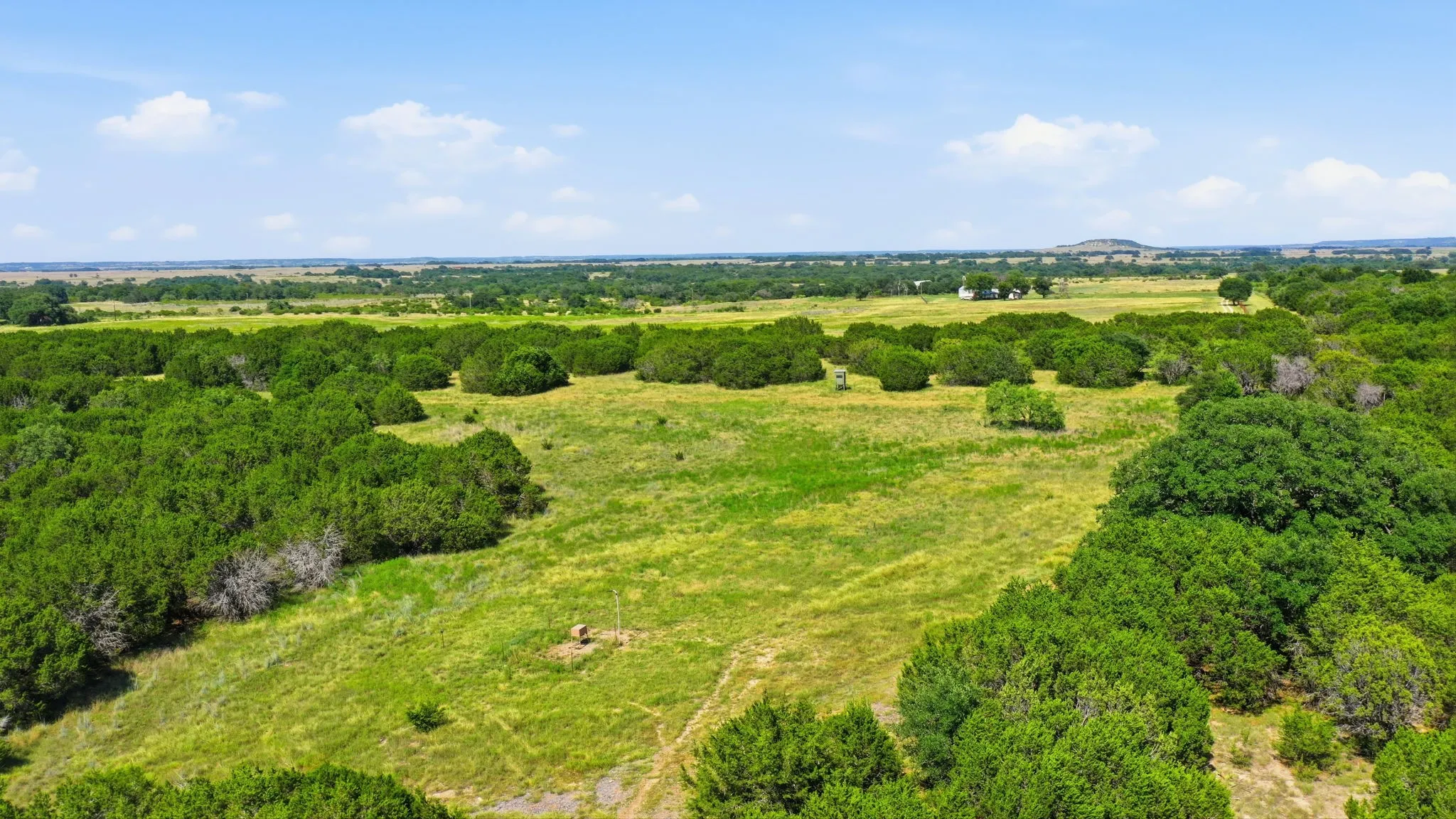 Unimproved Land For Sale in Bosque County , TBD Fm 216 89, Iredell, Texas 76649, 0, 0, Garage spaces, 0 Sqft, built in 0, mls#21339126, Real Estate Agent in Iredell, Homes For Sale in Bosque county, Homes For Sale in Iredell, Realtor in Iredell Texas, Real Estate Brokerage Independent Realty Texas, Luminita Cordes Realtor