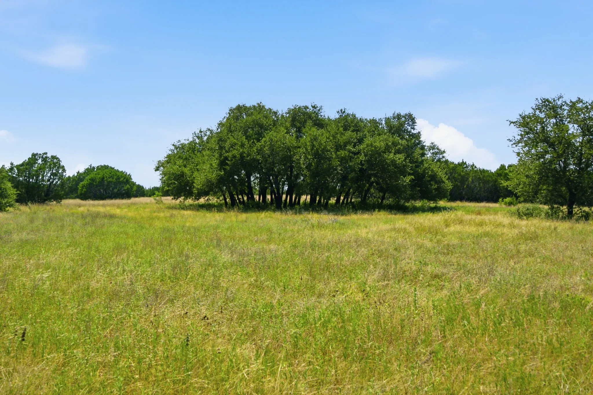 Unimproved Land For Sale in Bosque County , TBD Fm 216 89, Iredell, Texas 76649, 0, 0, Garage spaces, 0 Sqft, built in 0, mls#21339126, Real Estate Agent in Iredell, Homes For Sale in Bosque county, Homes For Sale in Iredell, Realtor in Iredell Texas, Real Estate Brokerage Independent Realty Texas, Luminita Cordes Realtor