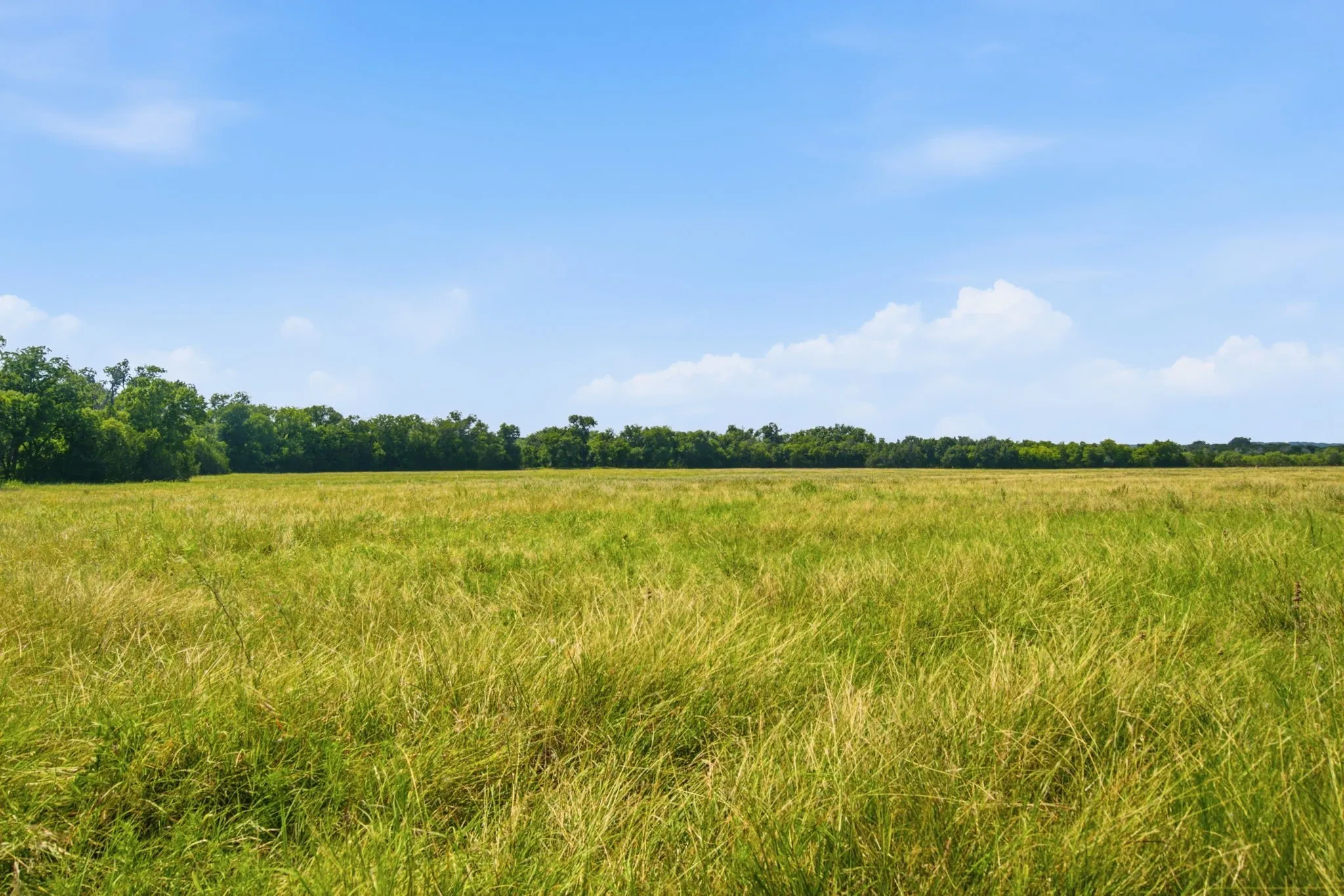 Unimproved Land For Sale in Bosque County , TBD Fm 216 89, Iredell, Texas 76649, 0, 0, Garage spaces, 0 Sqft, built in 0, mls#21339126, Real Estate Agent in Iredell, Homes For Sale in Bosque county, Homes For Sale in Iredell, Realtor in Iredell Texas, Real Estate Brokerage Independent Realty Texas, Luminita Cordes Realtor