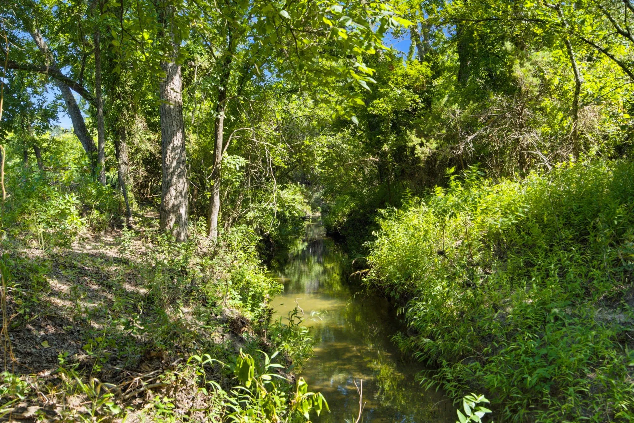 Unimproved Land For Sale in Bosque County , TBD Fm 216 89, Iredell, Texas 76649, 0, 0, Garage spaces, 0 Sqft, built in 0, mls#21339126, Real Estate Agent in Iredell, Homes For Sale in Bosque county, Homes For Sale in Iredell, Realtor in Iredell Texas, Real Estate Brokerage Independent Realty Texas, Luminita Cordes Realtor