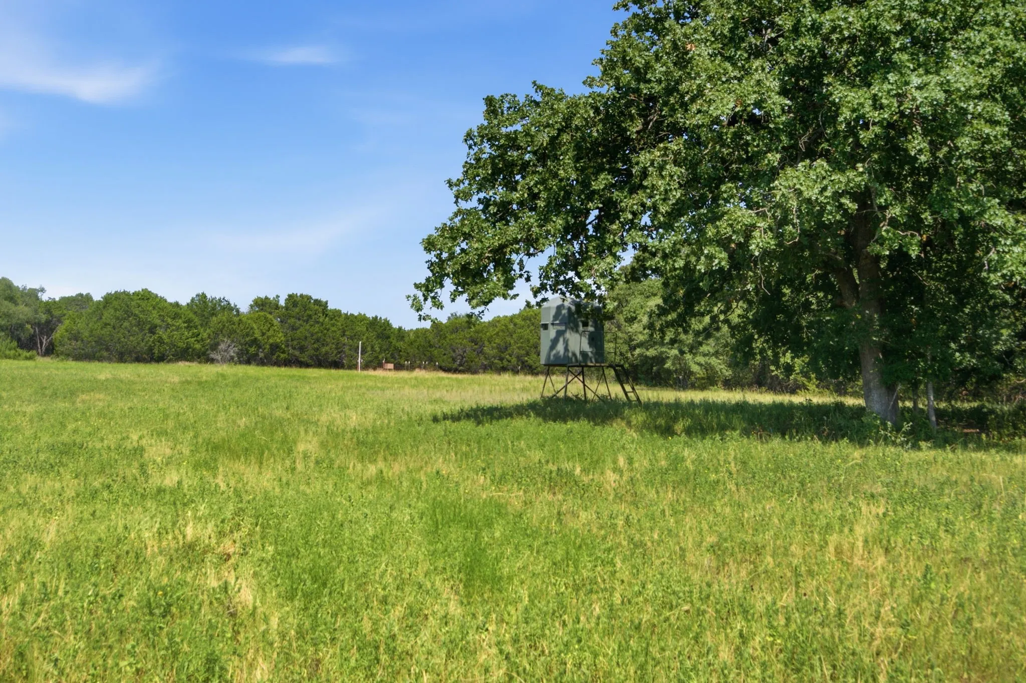 Unimproved Land For Sale in Bosque County , TBD Fm 216 89, Iredell, Texas 76649, 0, 0, Garage spaces, 0 Sqft, built in 0, mls#21339126, Real Estate Agent in Iredell, Homes For Sale in Bosque county, Homes For Sale in Iredell, Realtor in Iredell Texas, Real Estate Brokerage Independent Realty Texas, Luminita Cordes Realtor