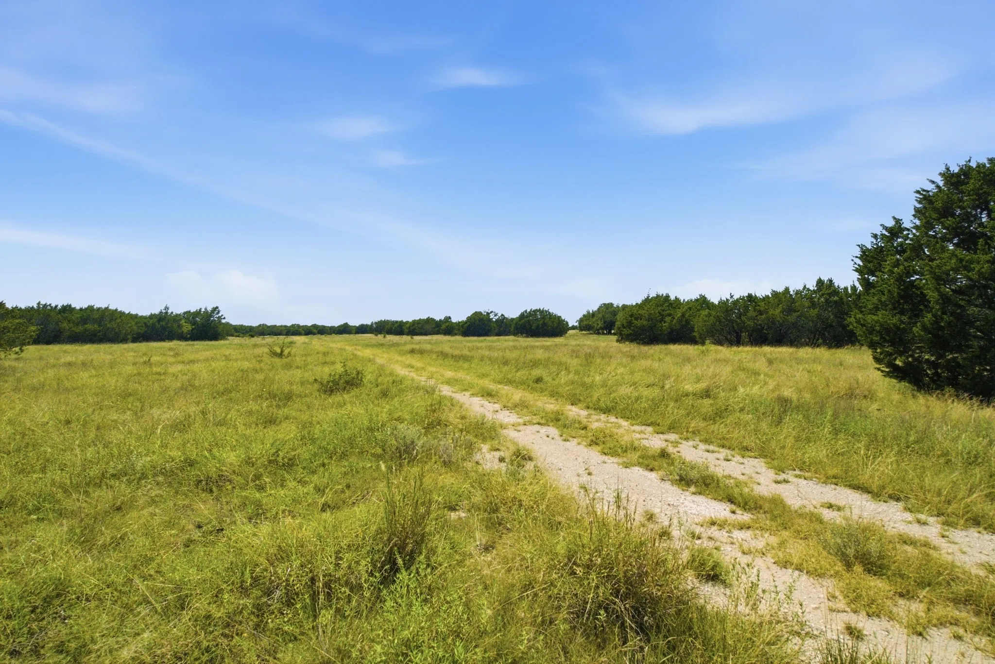 Unimproved Land For Sale in Bosque County , TBD Fm 216 89, Iredell, Texas 76649, 0, 0, Garage spaces, 0 Sqft, built in 0, mls#21339126, Real Estate Agent in Iredell, Homes For Sale in Bosque county, Homes For Sale in Iredell, Realtor in Iredell Texas, Real Estate Brokerage Independent Realty Texas, Luminita Cordes Realtor
