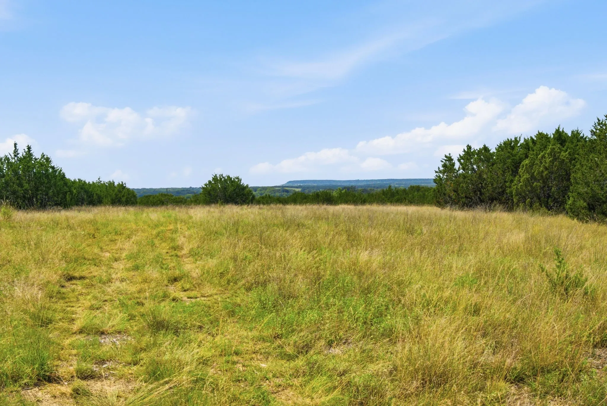 Unimproved Land For Sale in Bosque County , TBD Fm 216 89, Iredell, Texas 76649, 0, 0, Garage spaces, 0 Sqft, built in 0, mls#21339126, Real Estate Agent in Iredell, Homes For Sale in Bosque county, Homes For Sale in Iredell, Realtor in Iredell Texas, Real Estate Brokerage Independent Realty Texas, Luminita Cordes Realtor