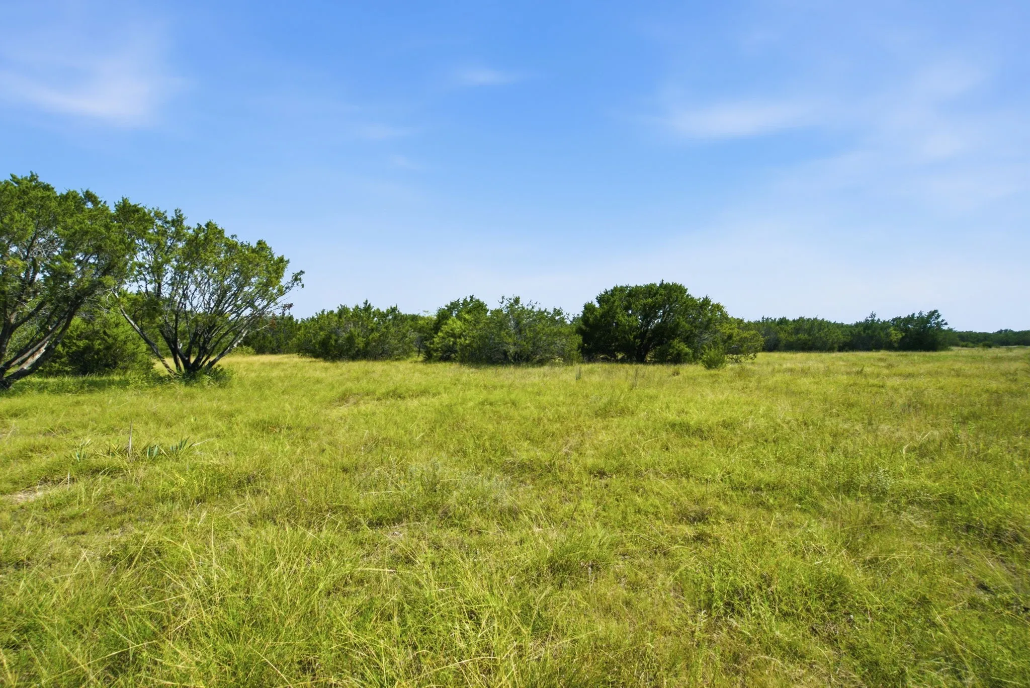 Unimproved Land For Sale in Bosque County , TBD Fm 216 89, Iredell, Texas 76649, 0, 0, Garage spaces, 0 Sqft, built in 0, mls#21339126, Real Estate Agent in Iredell, Homes For Sale in Bosque county, Homes For Sale in Iredell, Realtor in Iredell Texas, Real Estate Brokerage Independent Realty Texas, Luminita Cordes Realtor