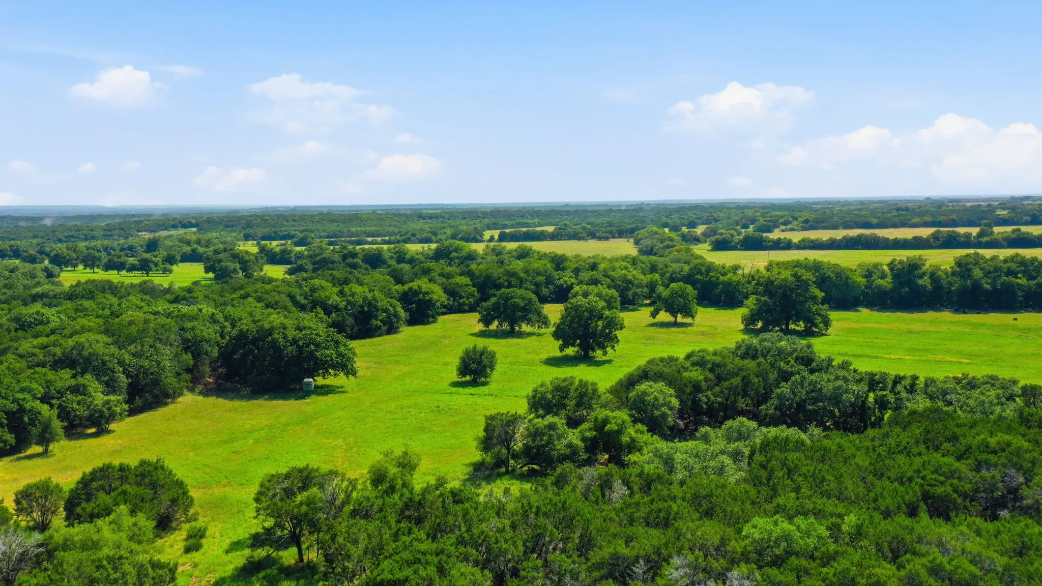 Unimproved Land For Sale in Bosque County , TBD Fm 216 89, Iredell, Texas 76649, 0, 0, Garage spaces, 0 Sqft, built in 0, mls#21339126, Real Estate Agent in Iredell, Homes For Sale in Bosque county, Homes For Sale in Iredell, Realtor in Iredell Texas, Real Estate Brokerage Independent Realty Texas, Luminita Cordes Realtor