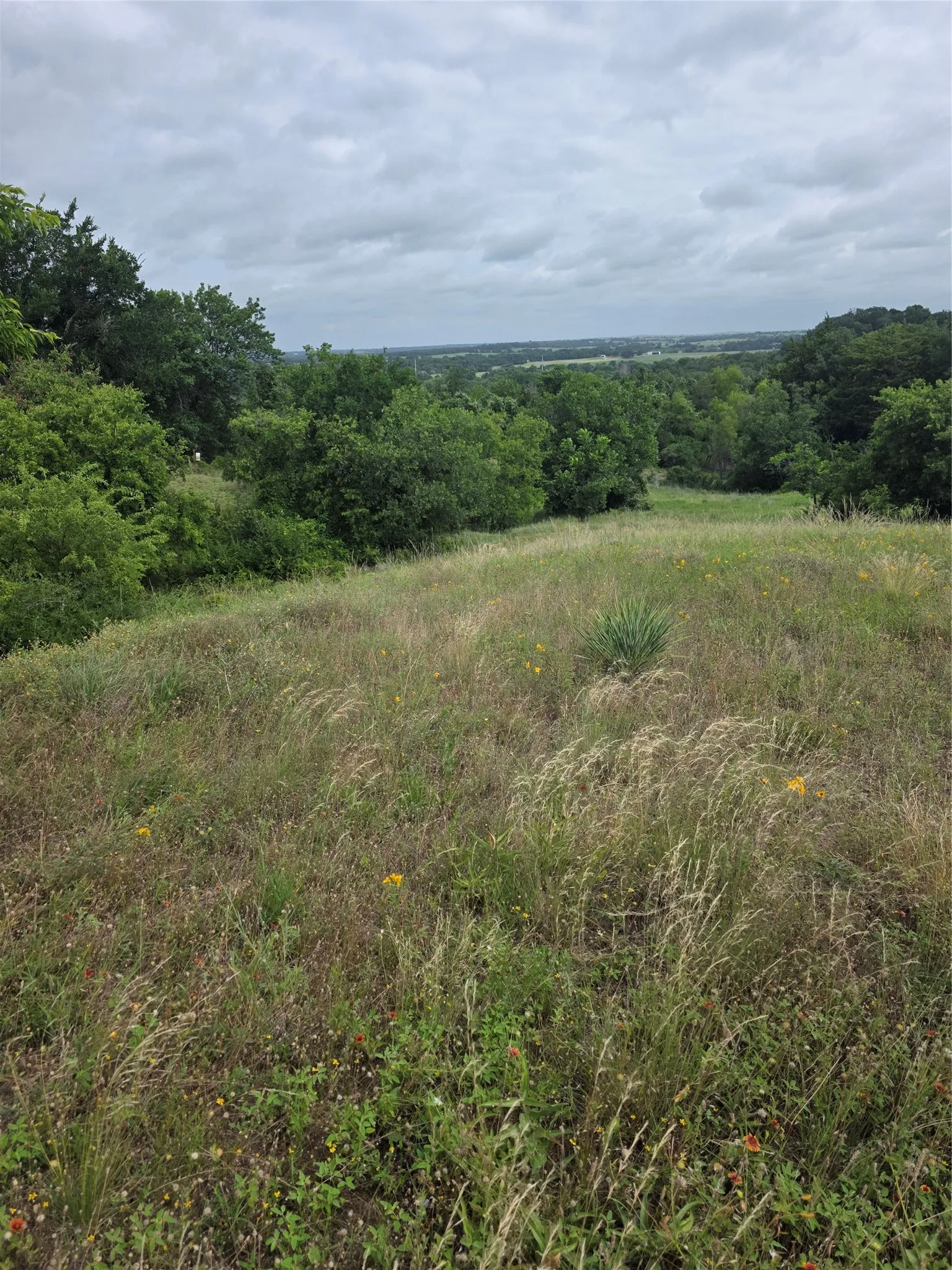 Unimproved Land For Sale in Wise County , TBD Derting Road, Aurora, Texas 76078, 0, 0, Garage spaces, 0 Sqft, built in 0, Price $250,000, mls#21338190, Real Estate Agent in Aurora, Homes For Sale in Wise county, Homes For Sale in Aurora, Realtor in Aurora Texas, Real Estate Brokerage Independent Realty Texas, Luminita Cordes Realtor