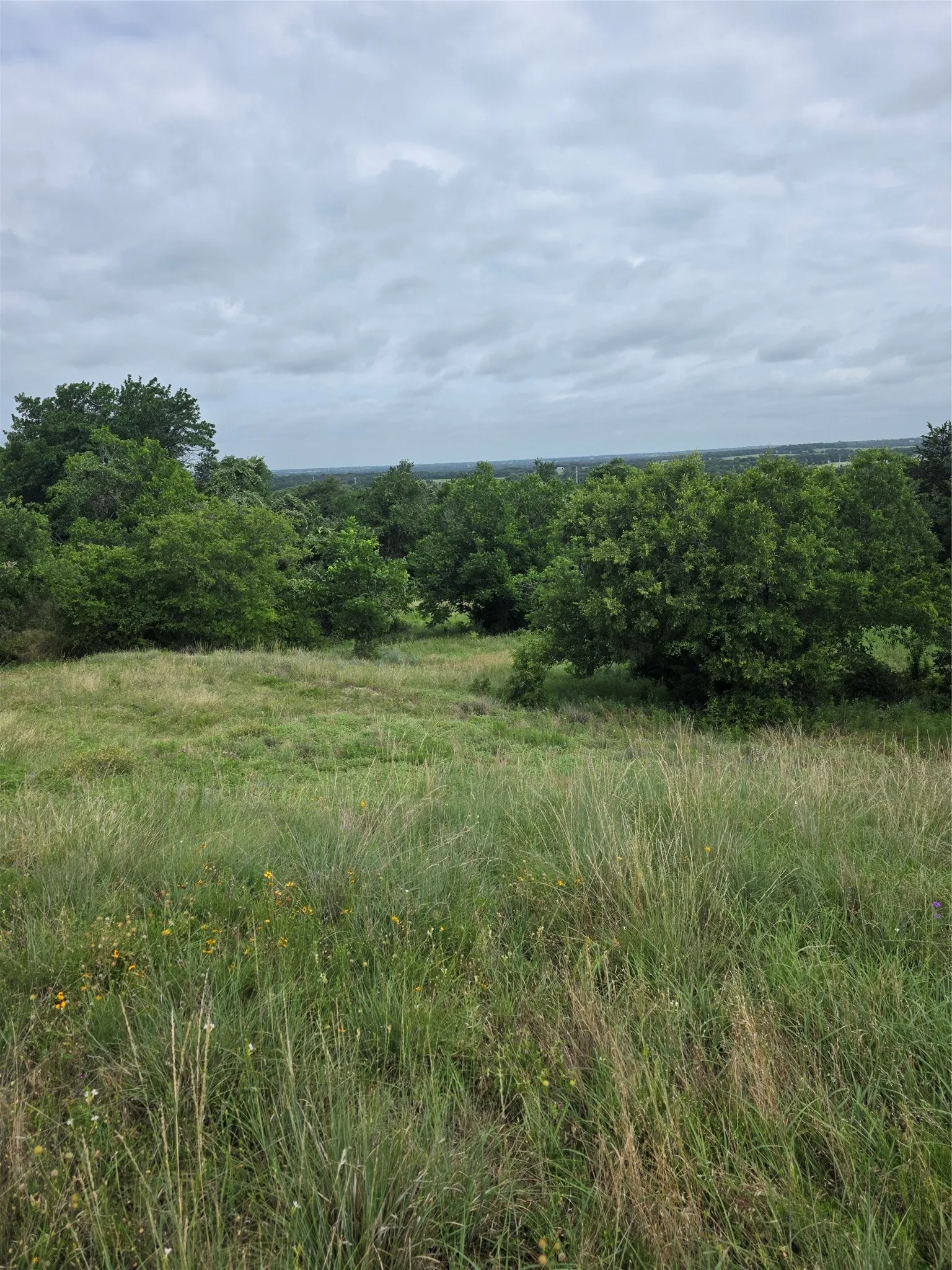 Unimproved Land For Sale in Wise County , TBD Derting Road, Aurora, Texas 76078, 0, 0, Garage spaces, 0 Sqft, built in 0, Price $250,000, mls#21338190, Real Estate Agent in Aurora, Homes For Sale in Wise county, Homes For Sale in Aurora, Realtor in Aurora Texas, Real Estate Brokerage Independent Realty Texas, Luminita Cordes Realtor